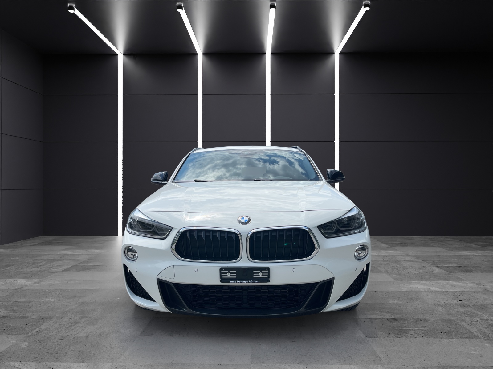 BMW X2 20d xDrive SAG-showroom-element-1