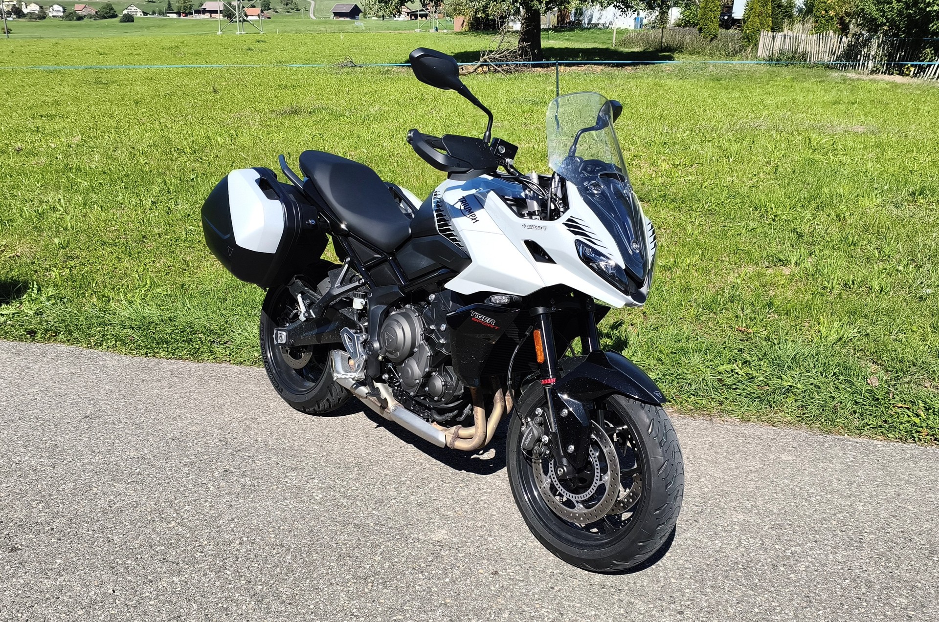 TRIUMPH Tiger 660 Sport-image-0