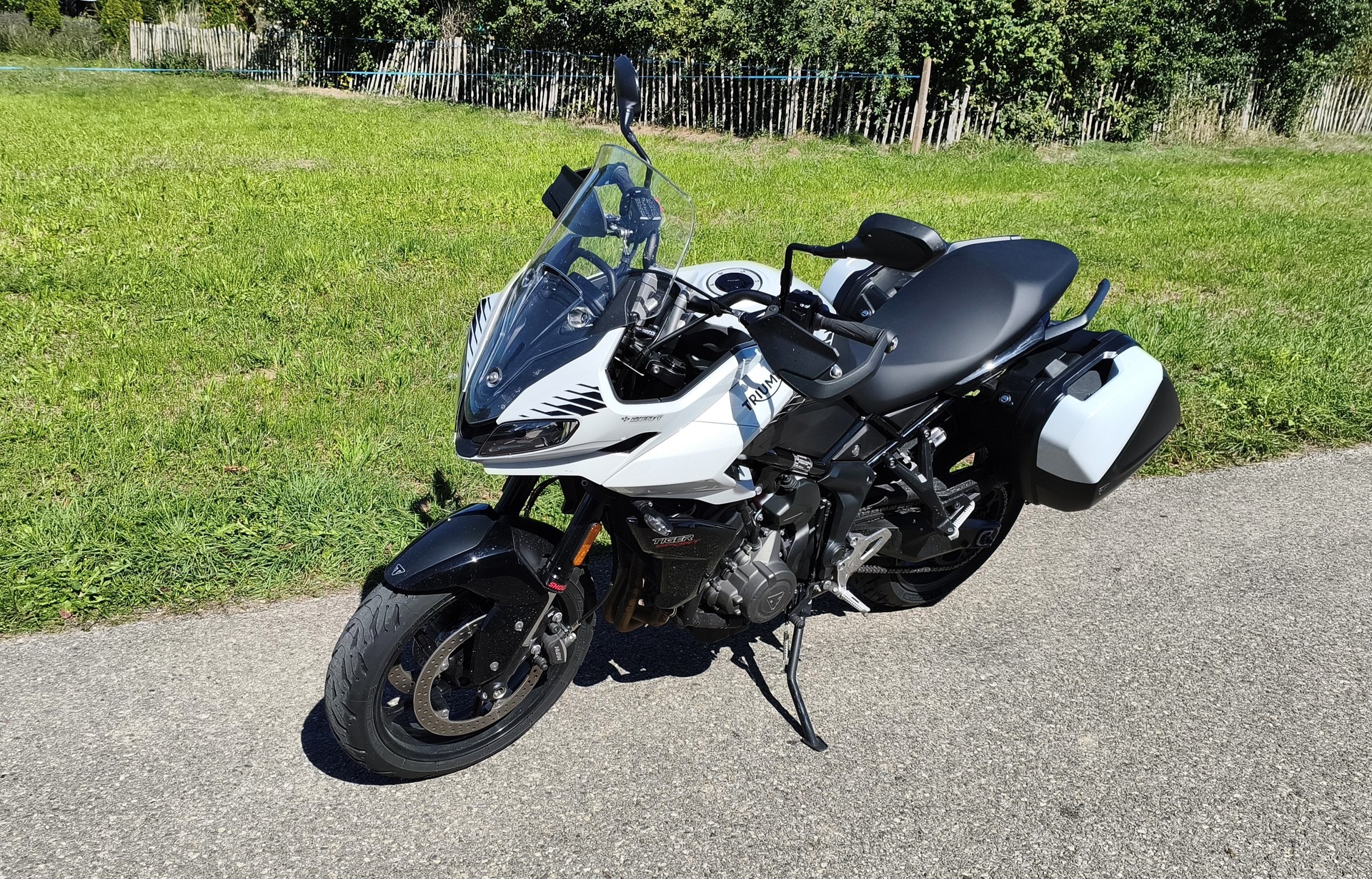TRIUMPH Tiger 660 Sport-image-1