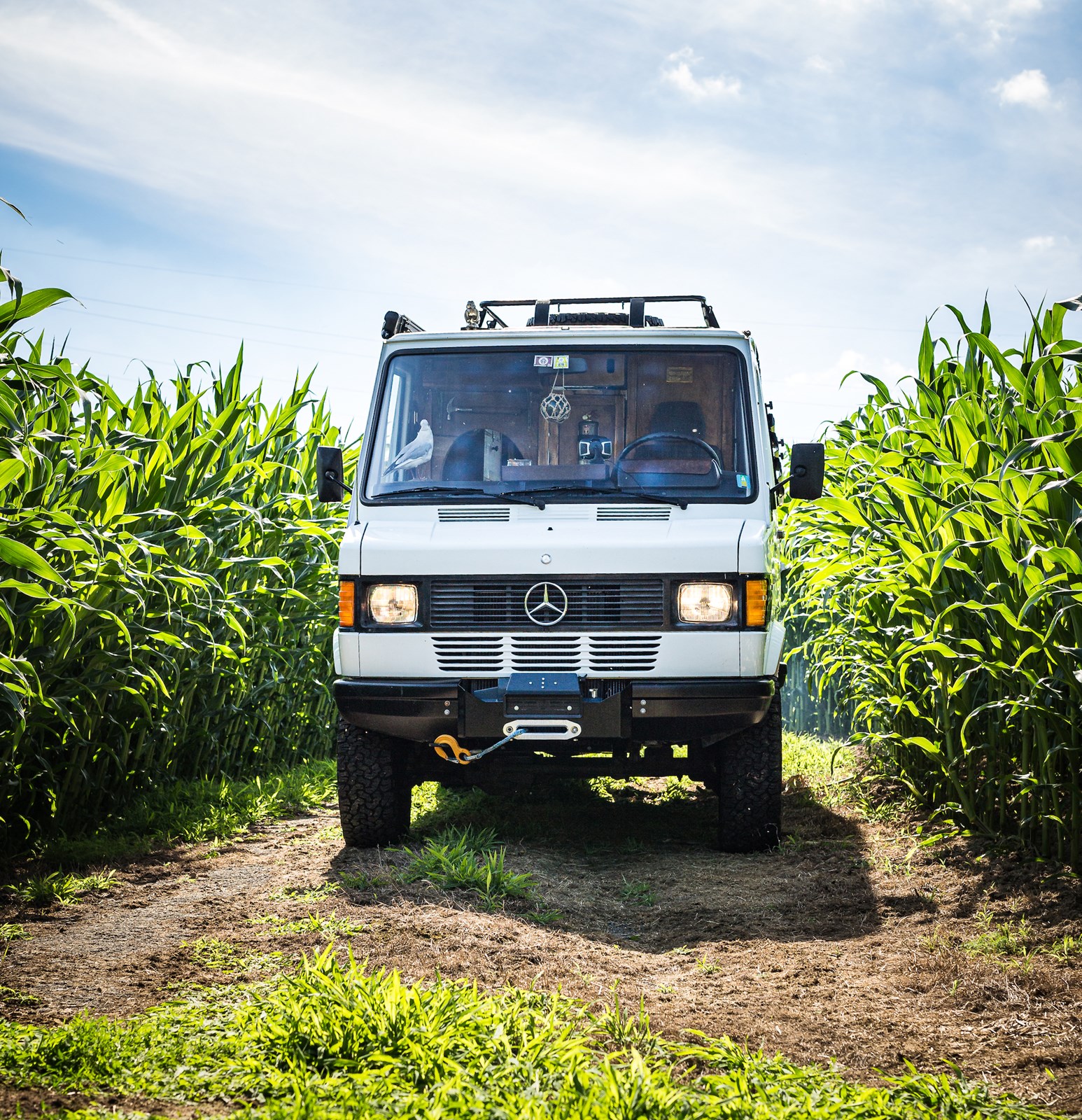 MERCEDES-BENZ 309 D - Wohnmobil für 2 und Hund. Zeitloser Klassiker!-image-5