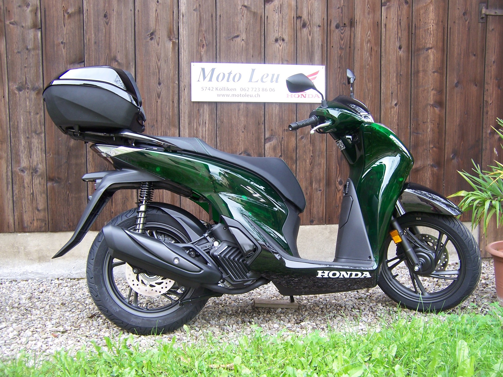 HONDA SH 125 Sporty Vetro-image-6