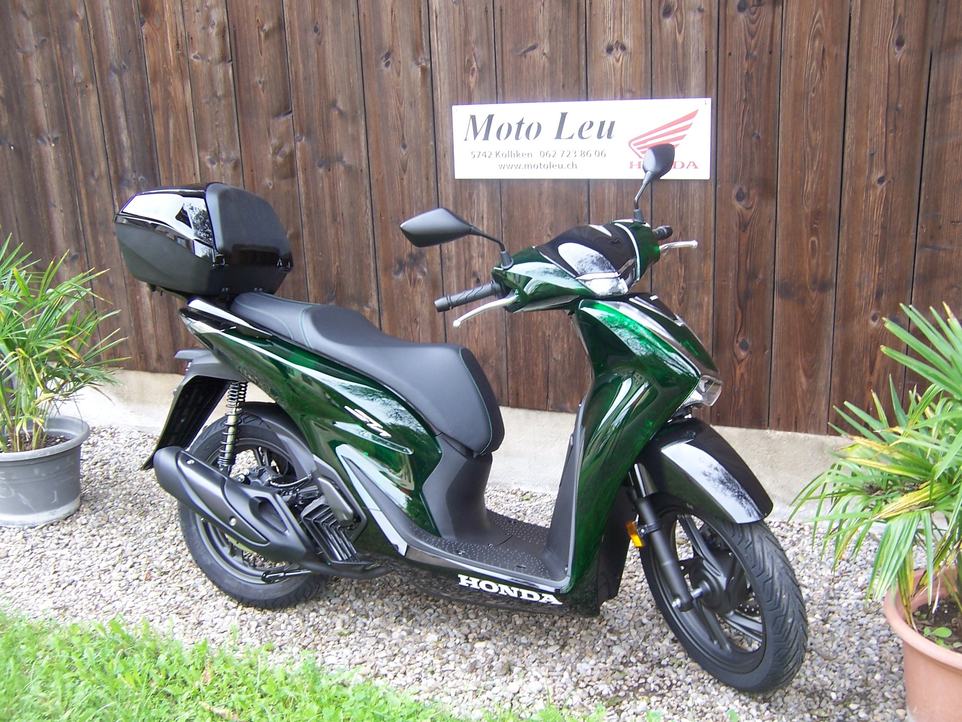 HONDA SH 125 Sporty Vetro