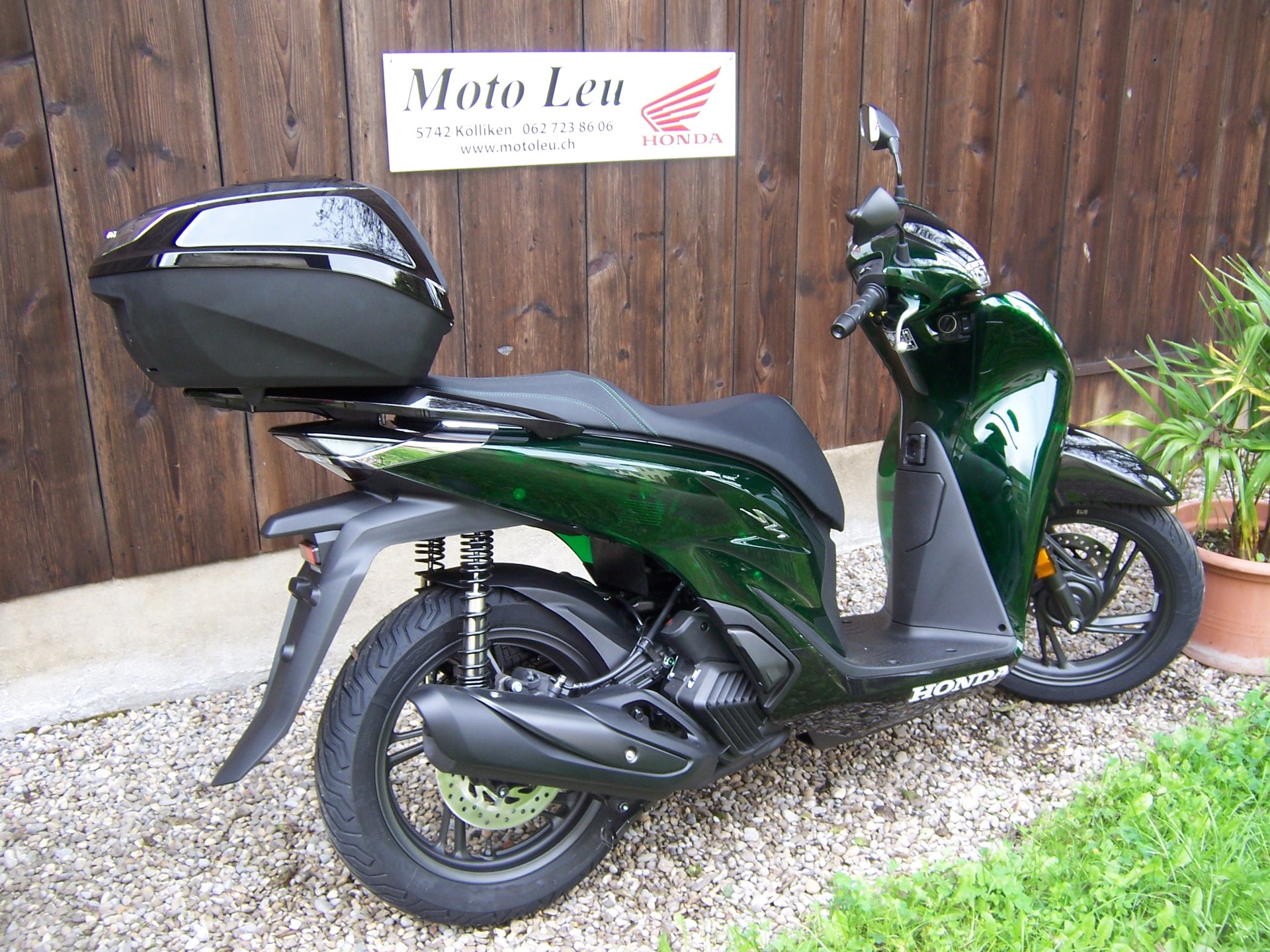 HONDA SH 125 Sporty Vetro-image-5