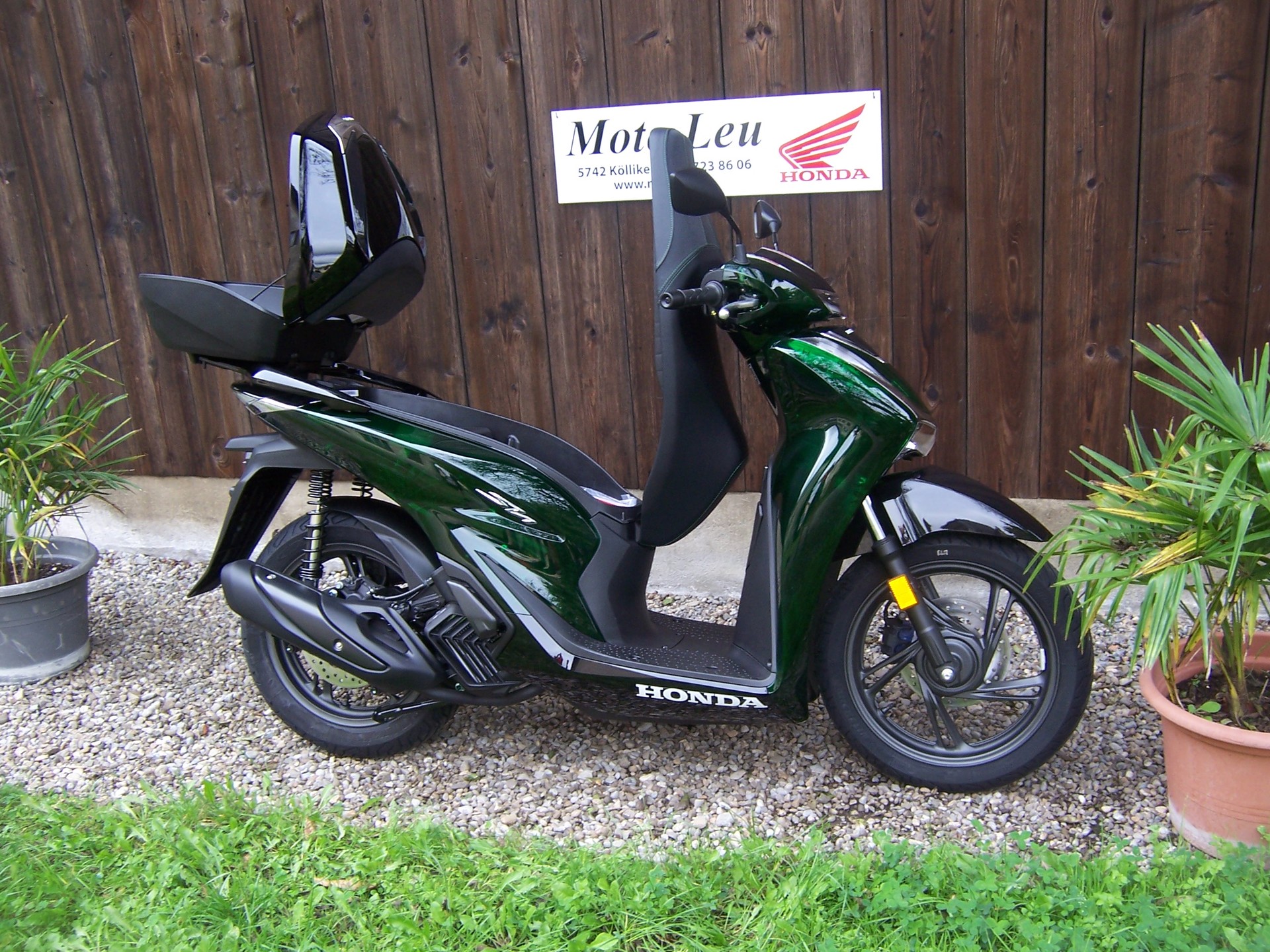 HONDA SH 125 Sporty Vetro-image-7