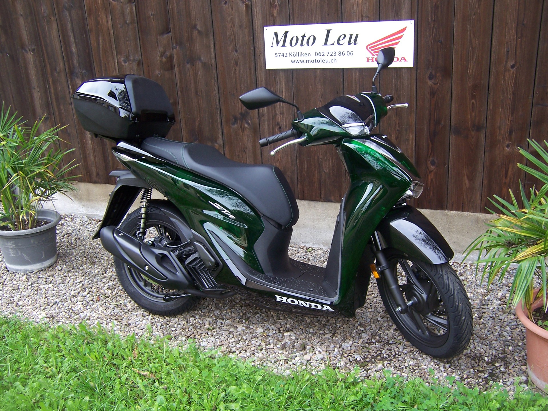 HONDA SH 125 Sporty Vetro-image-1