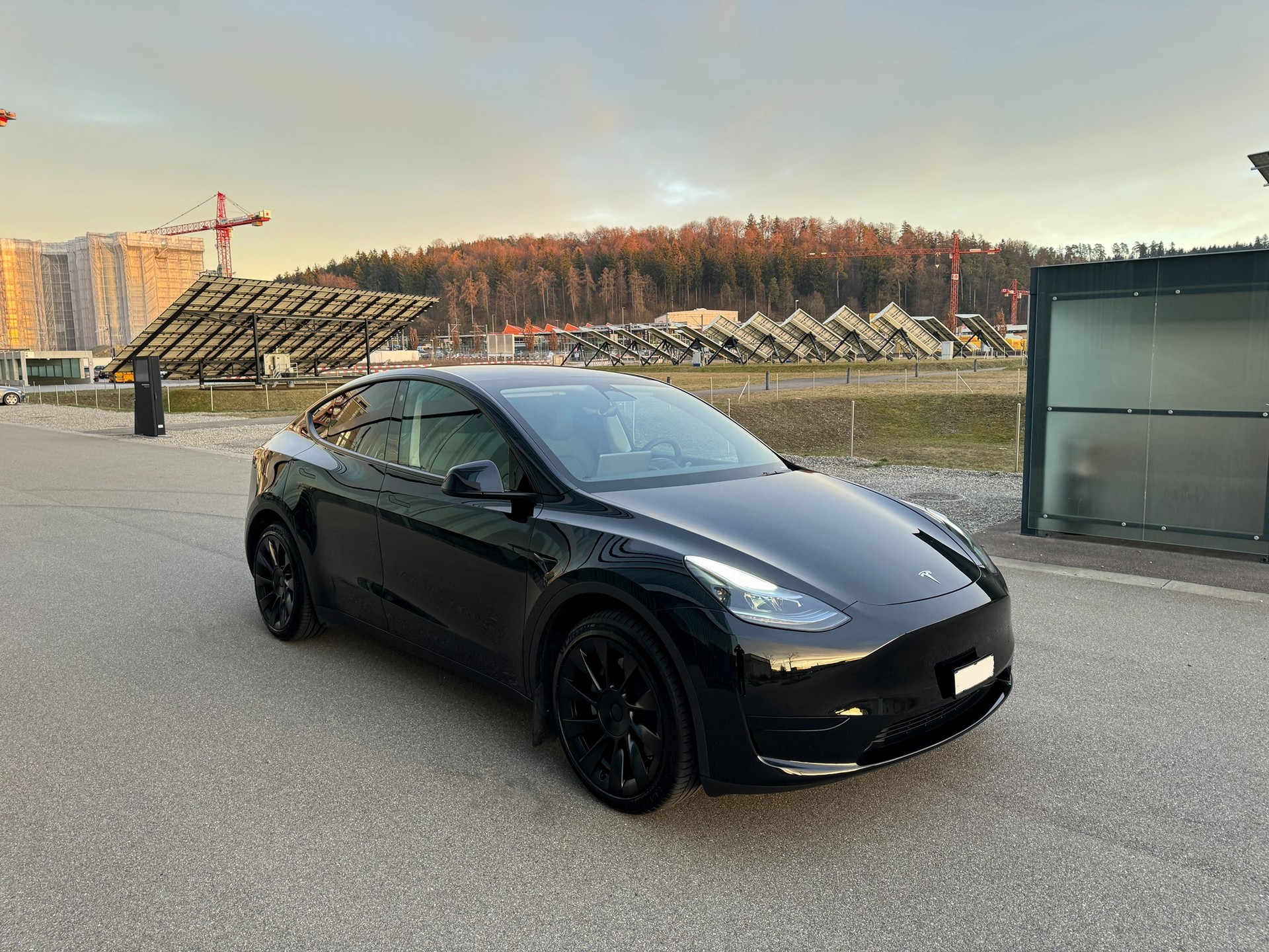 TESLA Model Y RWD-image-6