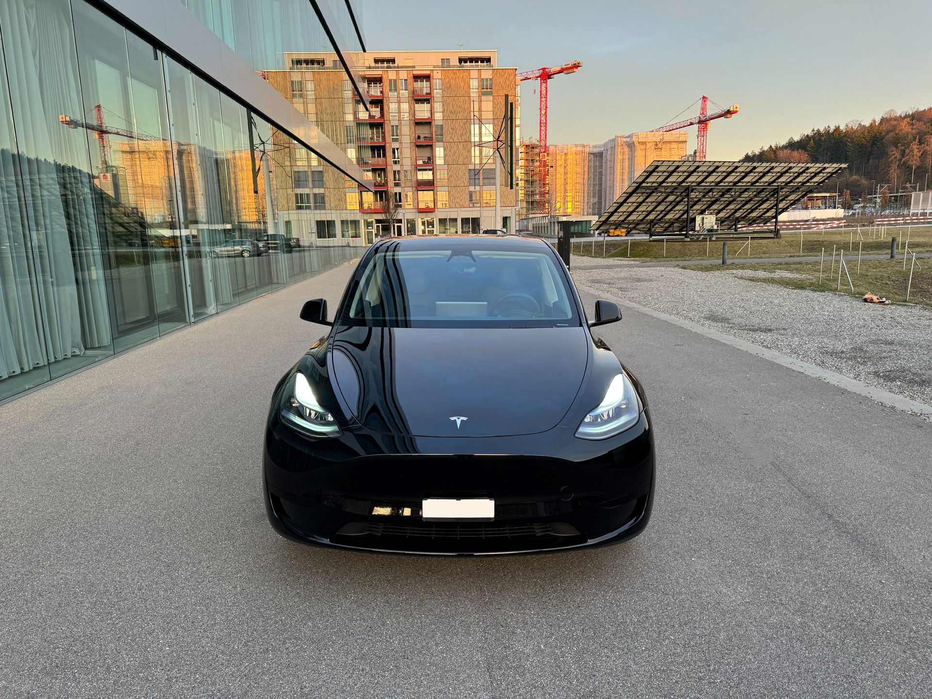 TESLA Model Y RWD-image-1
