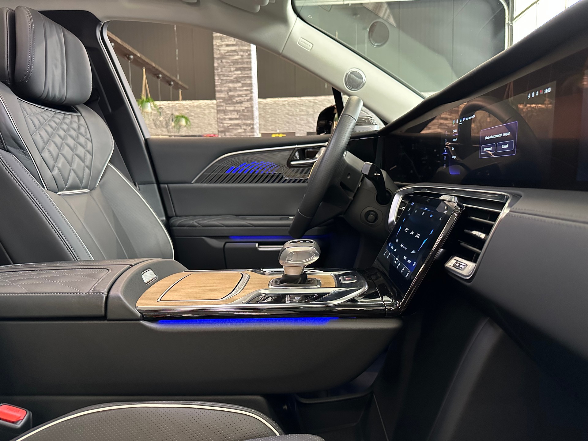 HONGQI E-HS9 Exclusive 99 kWh-image-20