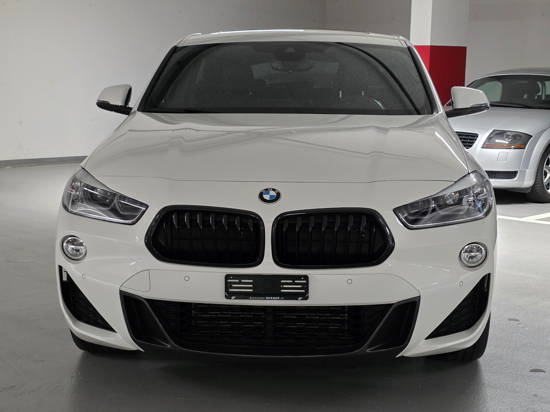 BMW X2 xDrive 20d M Sport Steptronic-showroom-element-1