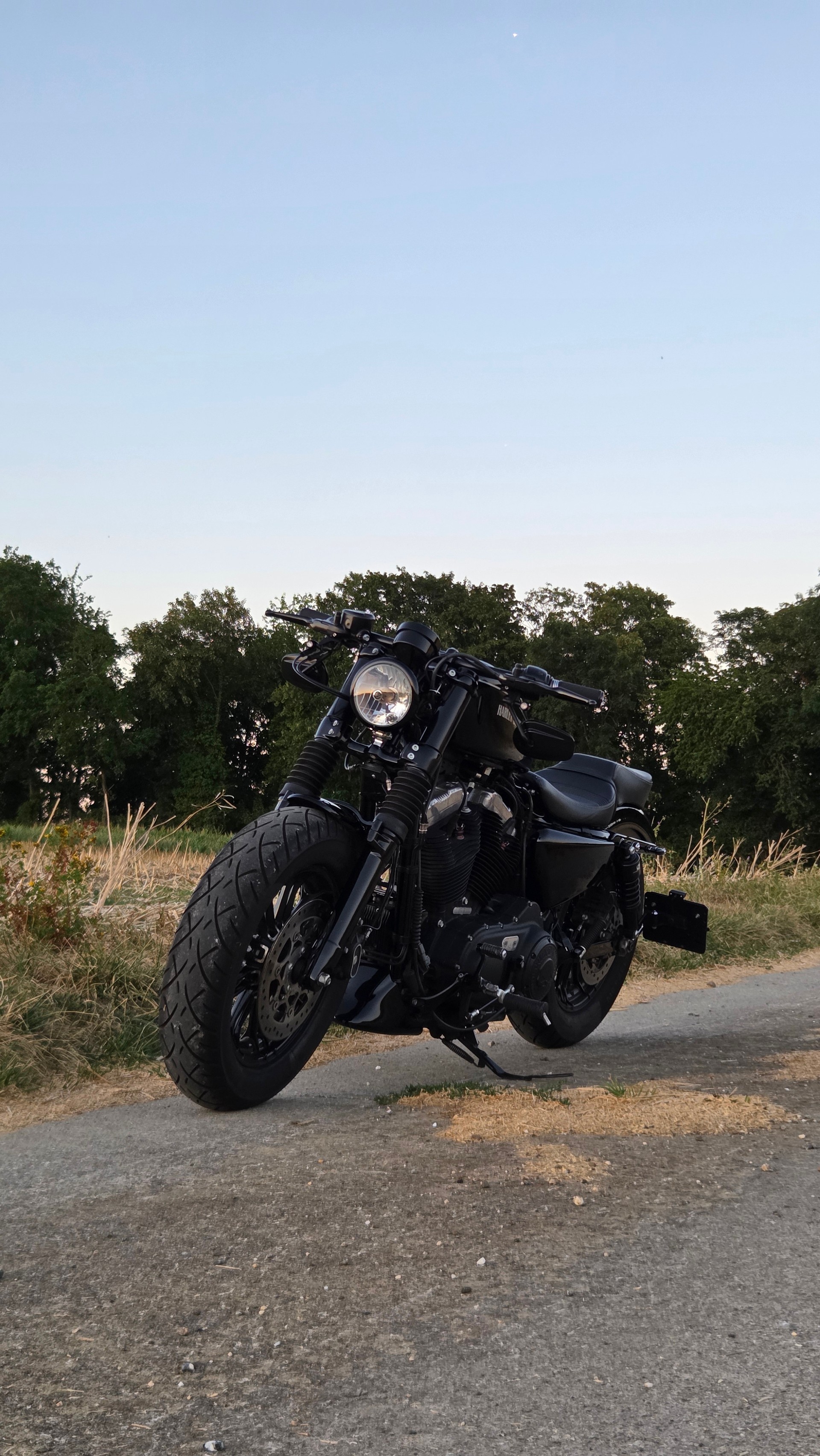 HARLEY-DAVIDSON XL 1200 X Forty Eight ABS-image-6