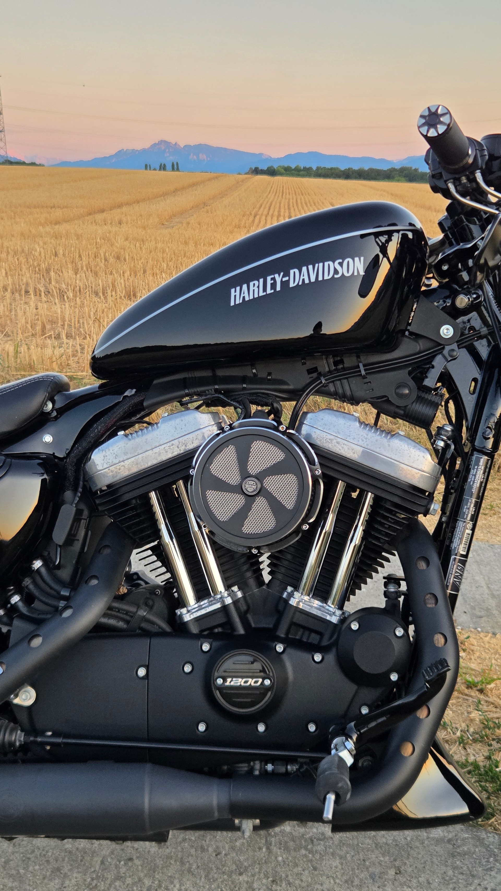 HARLEY-DAVIDSON XL 1200 X Forty Eight ABS-image-3