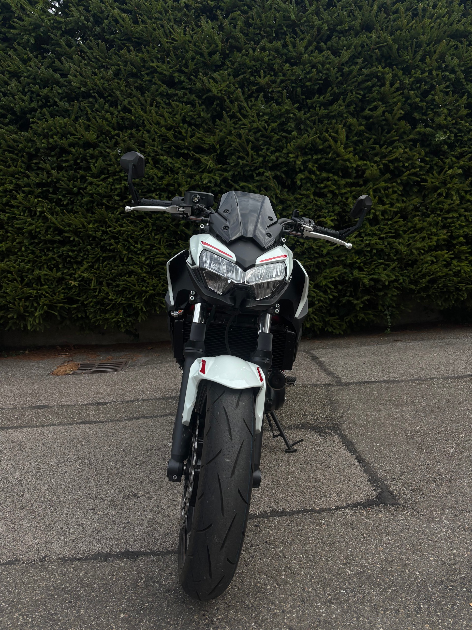 KAWASAKI Z 650 (35kW)-image-5