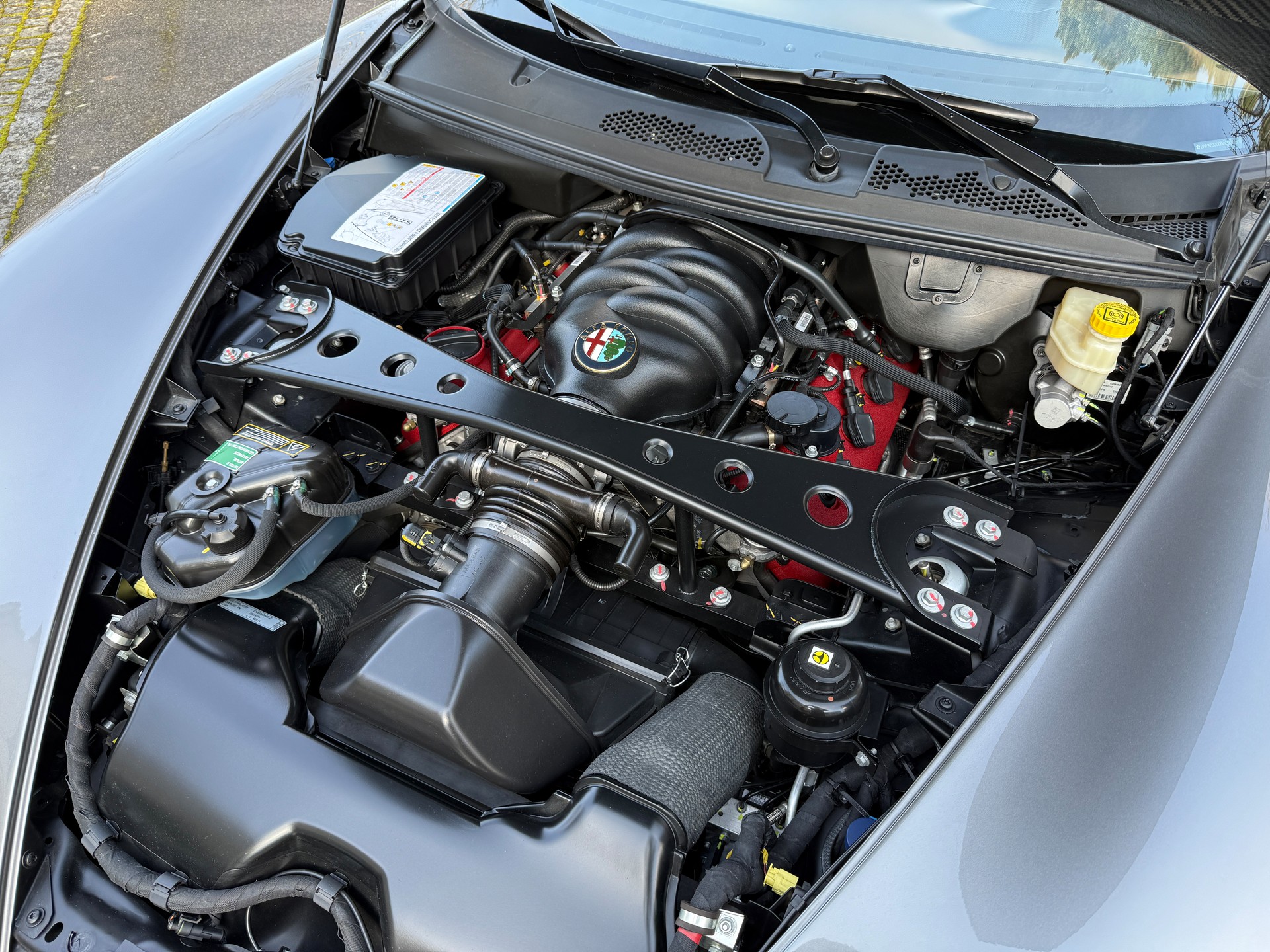 ALFA ROMEO 8C-image-13