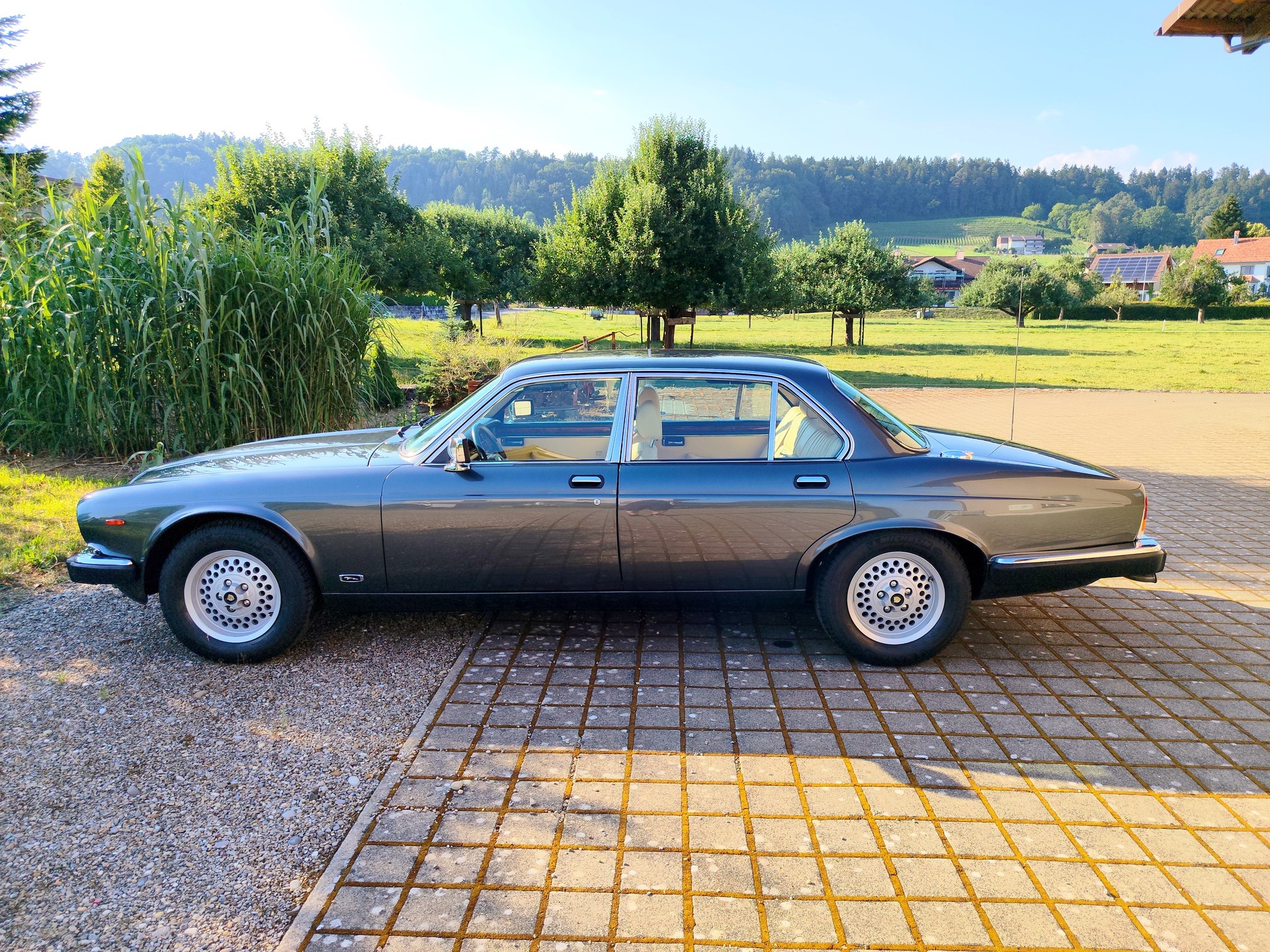 JAGUAR Sovereign XJ-12 5.3 H.E.-image-4
