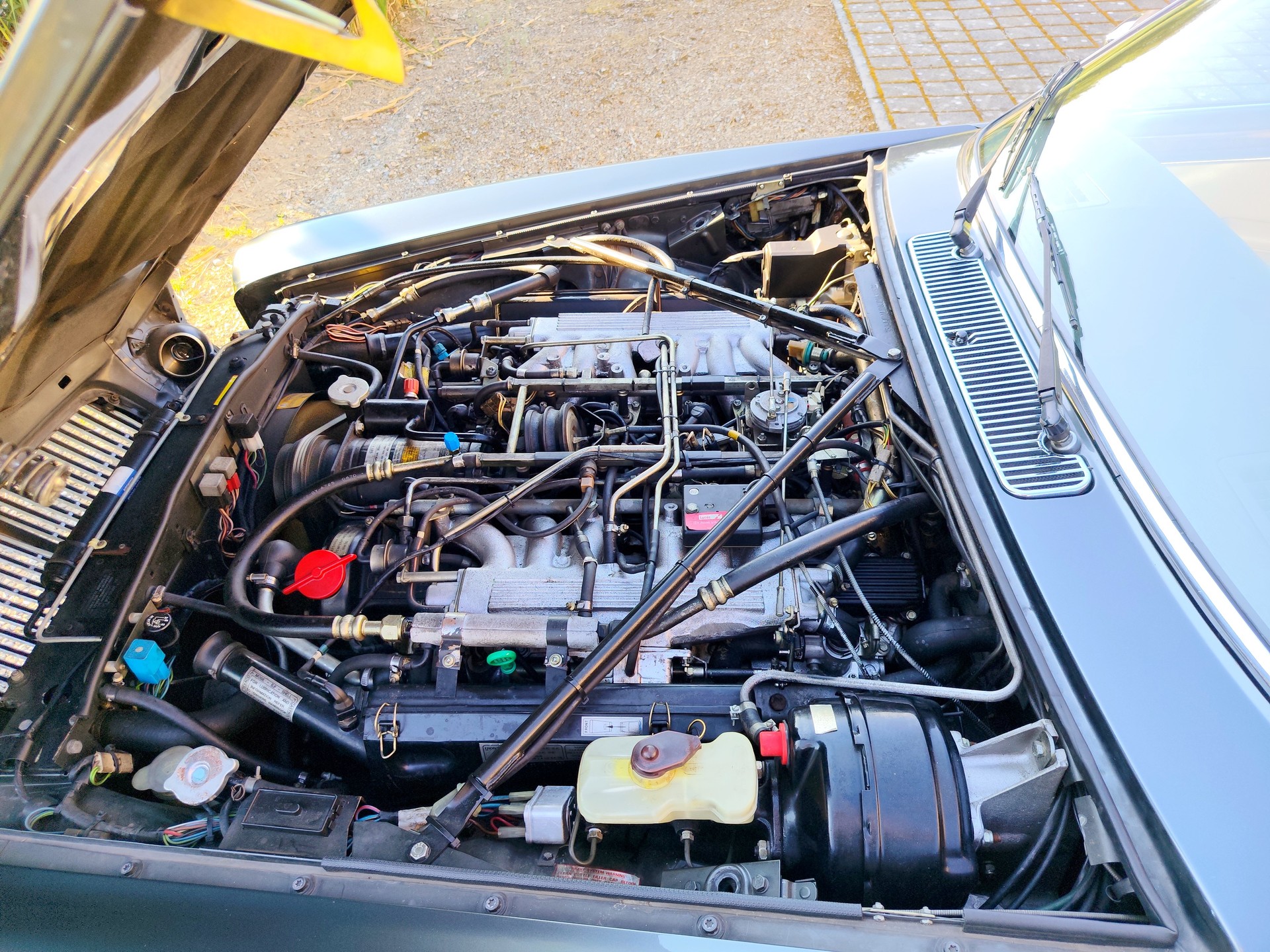 JAGUAR Sovereign XJ-12 5.3 H.E.-image-11