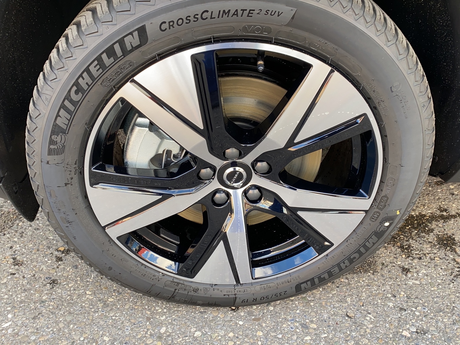 VOLVO XC40 P6 Ultimate-image-11