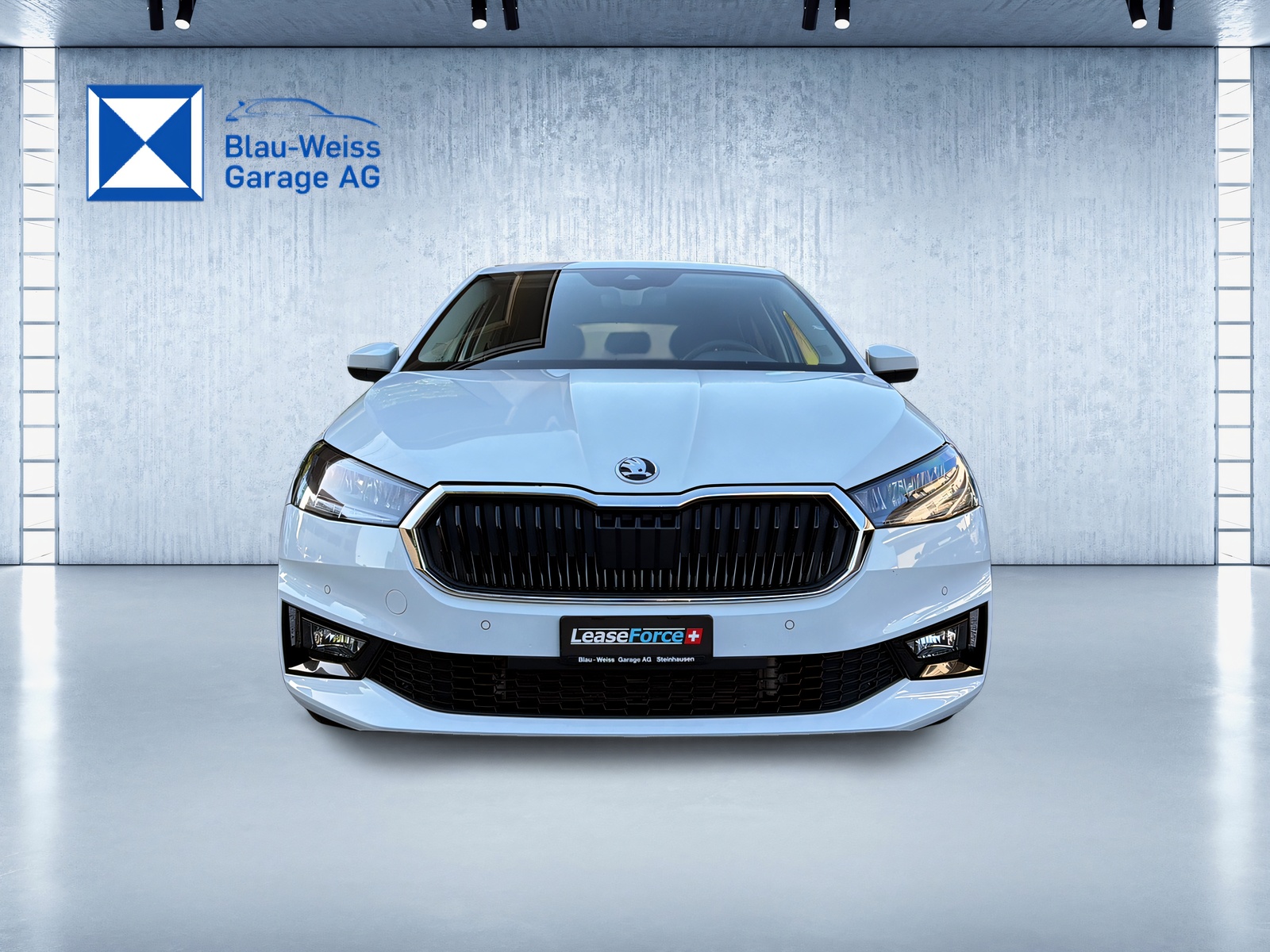 SKODA Fabia 1.0 TSI Top Selection DSG-showroom-element-1