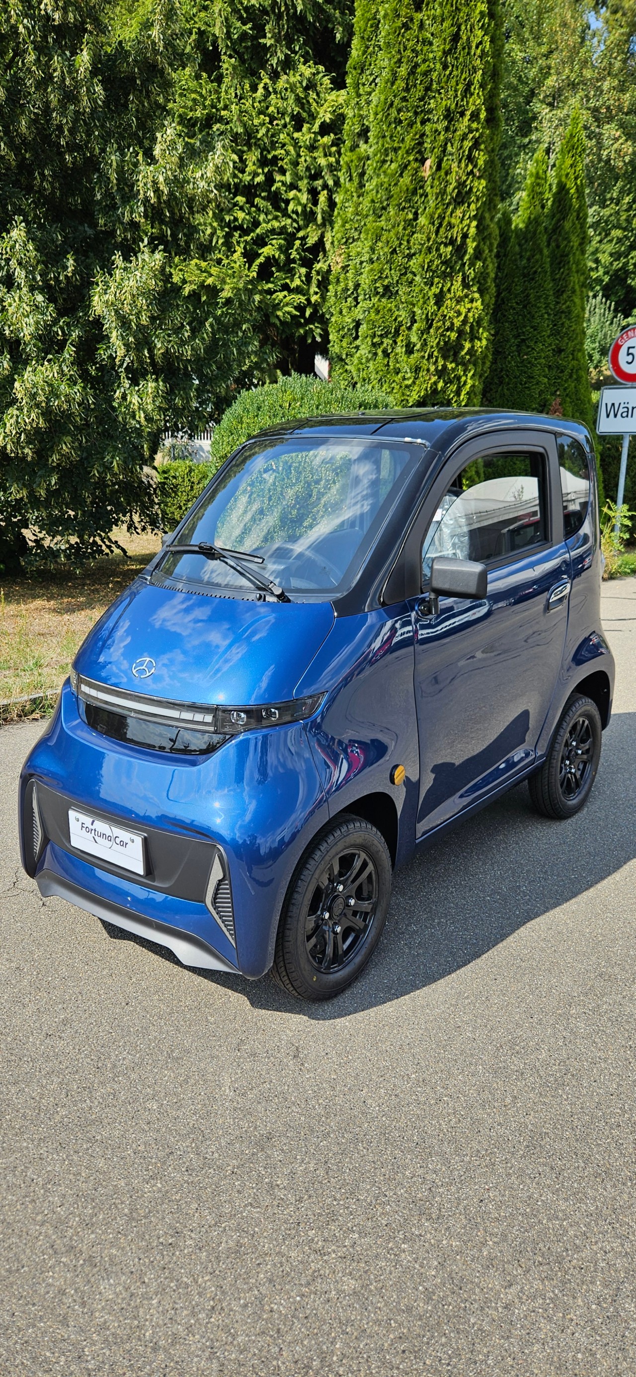 FULU Micar T1 !!Führerscheinbefreit bis 20kmh!! (Mit Lithium-Batterien!)-showroom-element-1