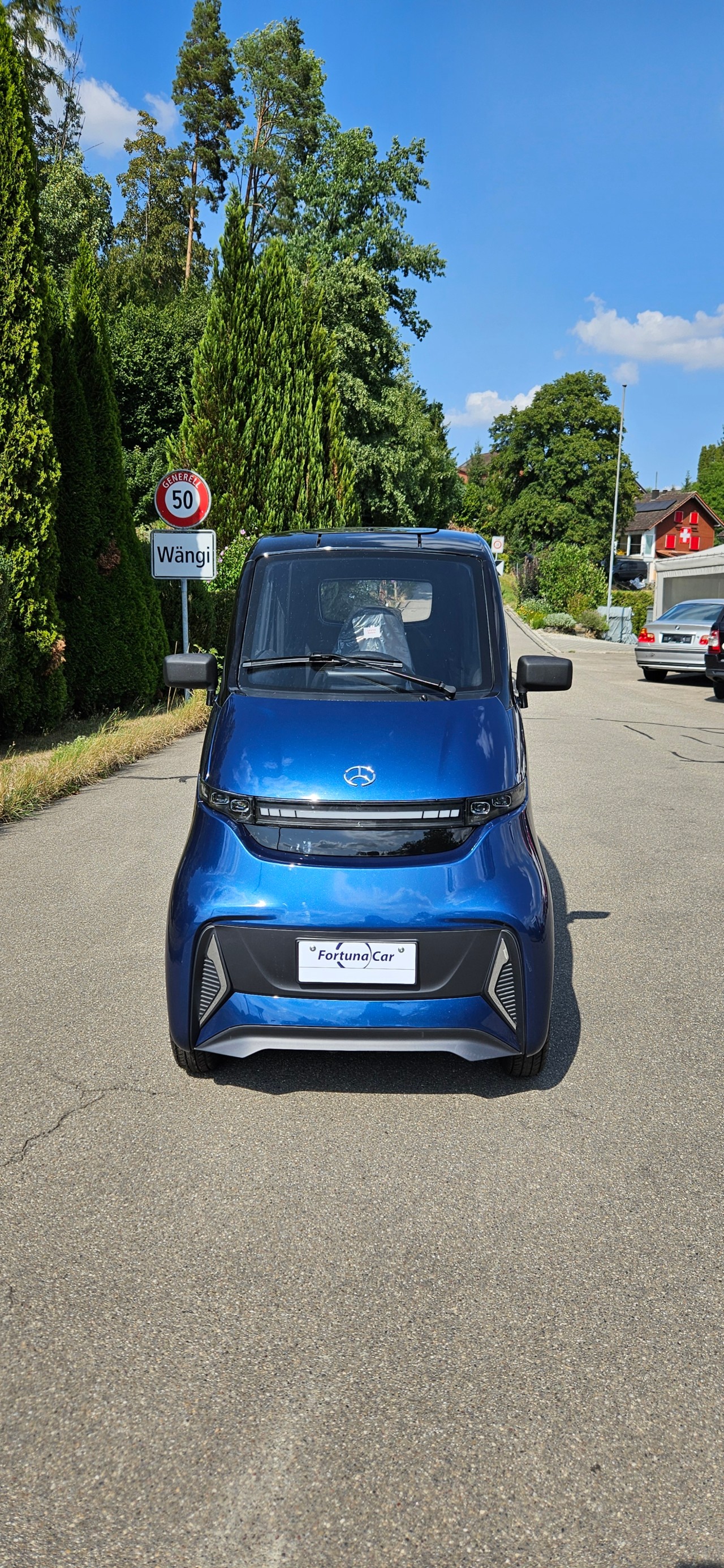 FULU Micar T1 !!Führerscheinbefreit bis 20kmh!! (Mit Lithium-Batterien!)