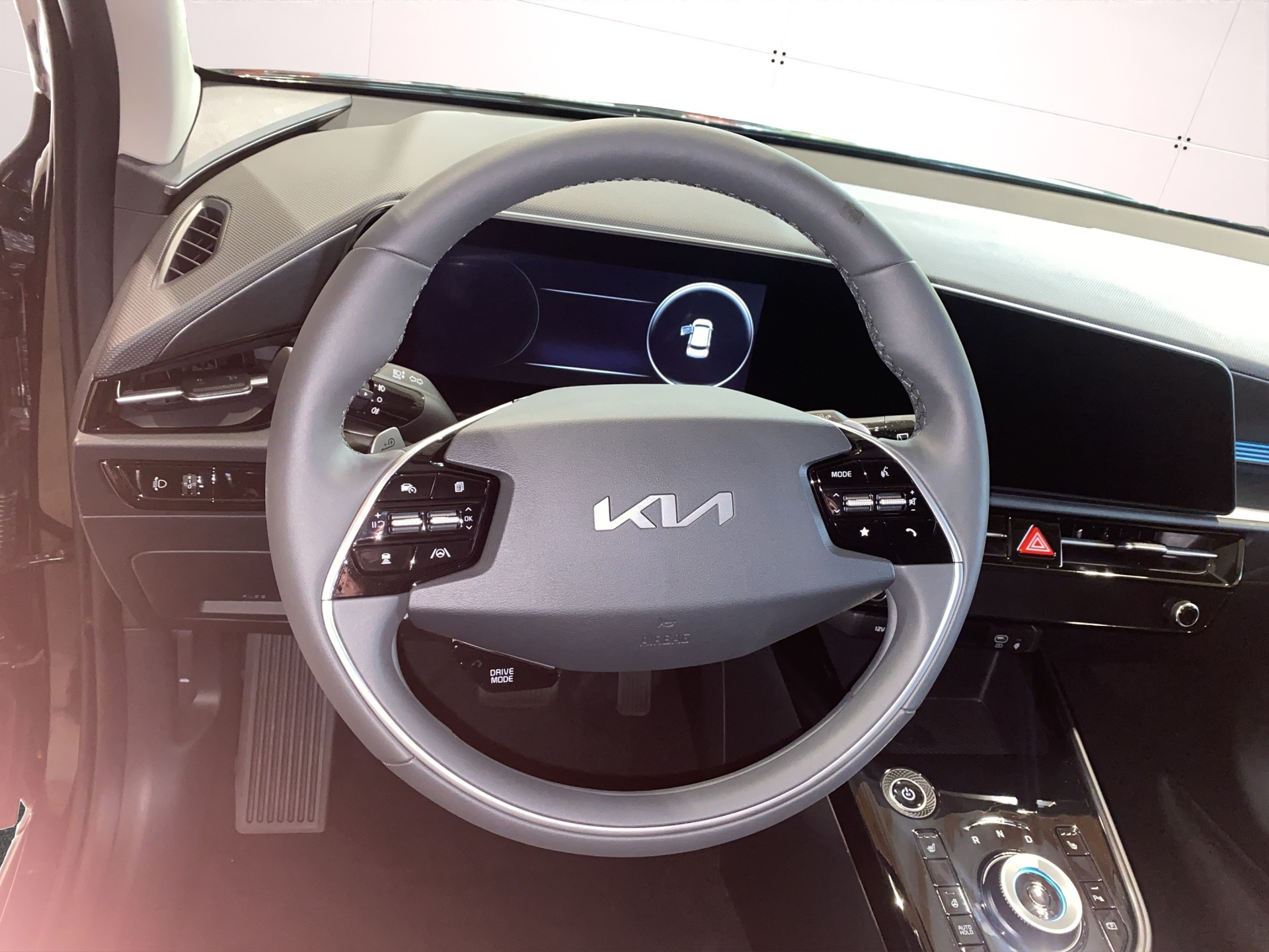 KIA Niro EV 64,8 kWh Power Edition-image-8