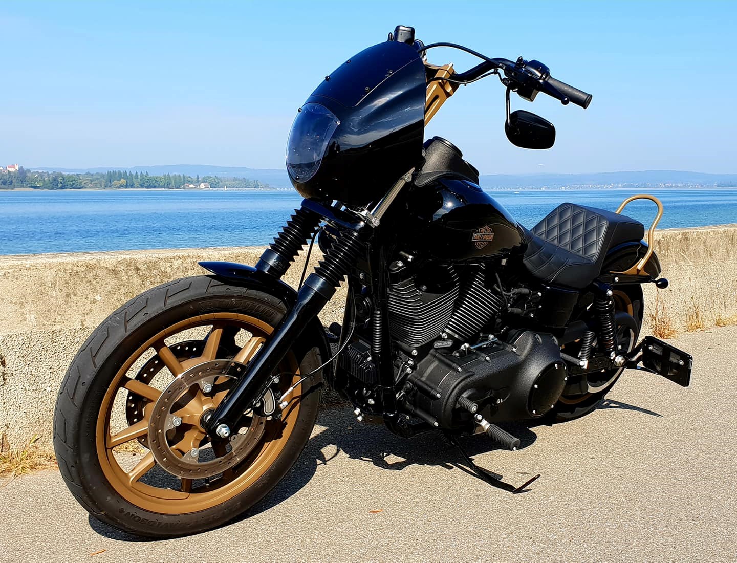 HARLEY-DAVIDSON FXDLS Dyna Low Rider S-image-3
