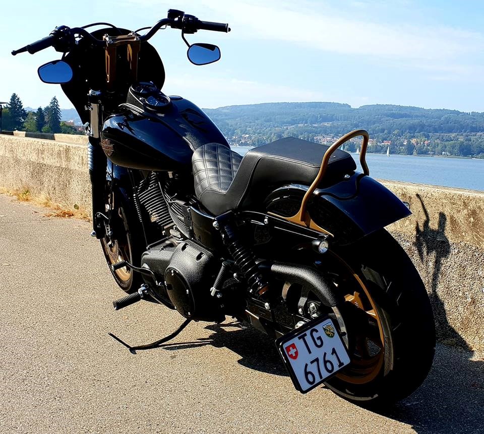 HARLEY-DAVIDSON FXDLS Dyna Low Rider S-image-4