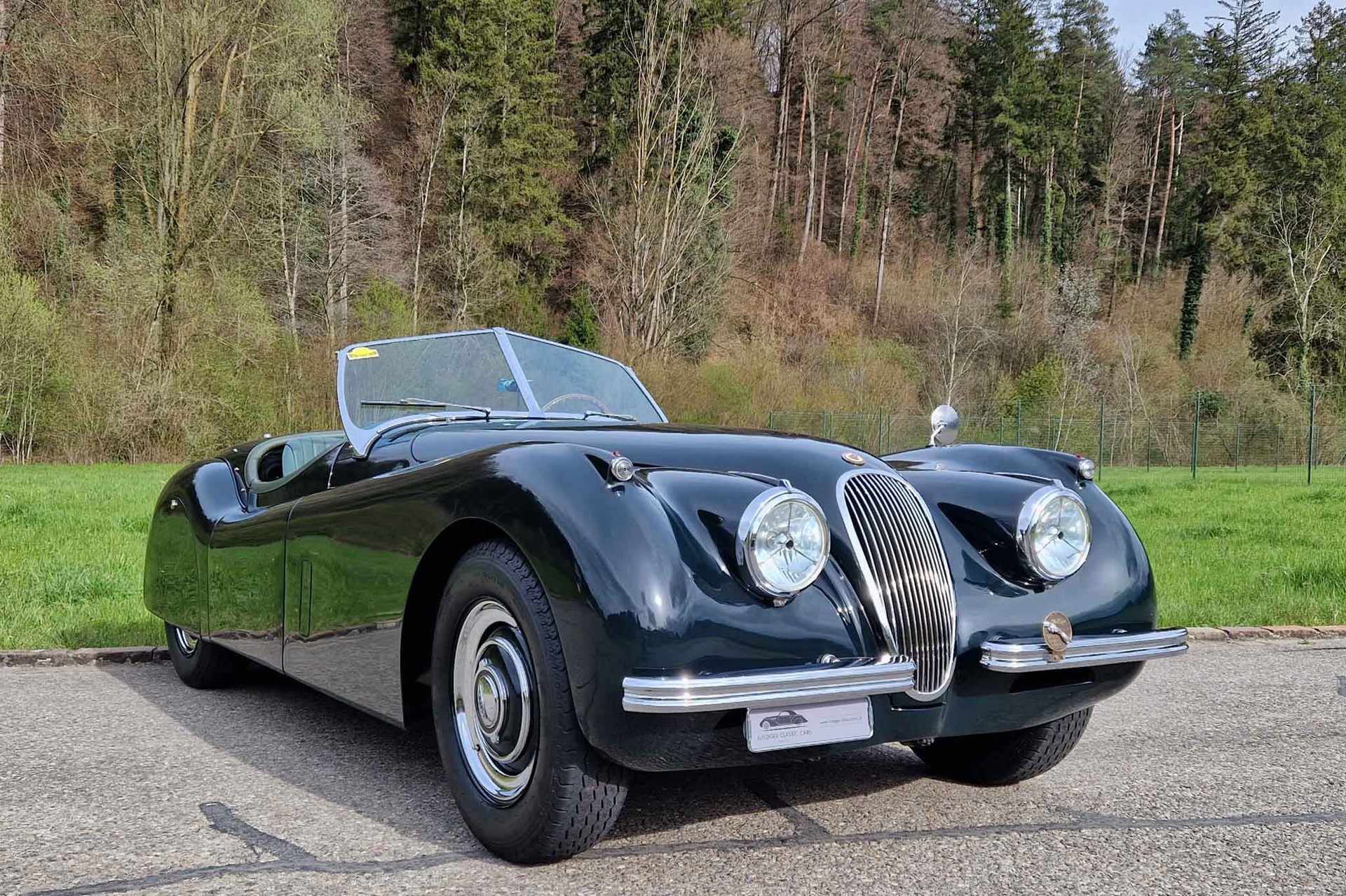 JAGUAR XK 120 OTS-image-3