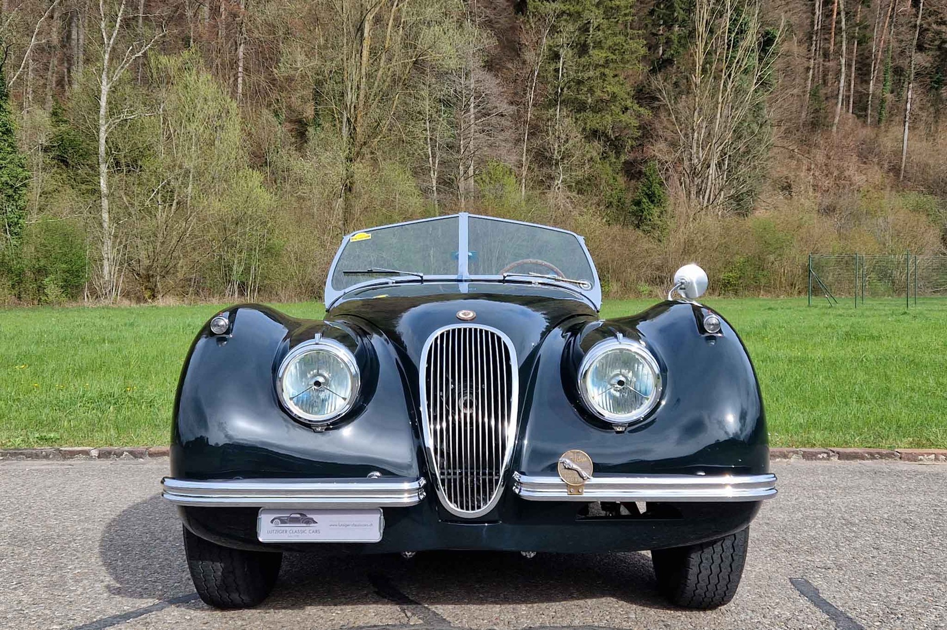 JAGUAR XK 120 OTS-image-2