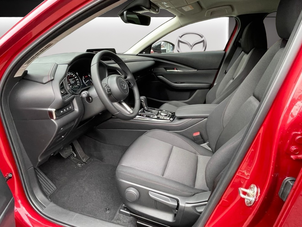 MAZDA CX-30 SKYACTIV-X 186 M Hybrid Homura Plus AWD AT-image-4