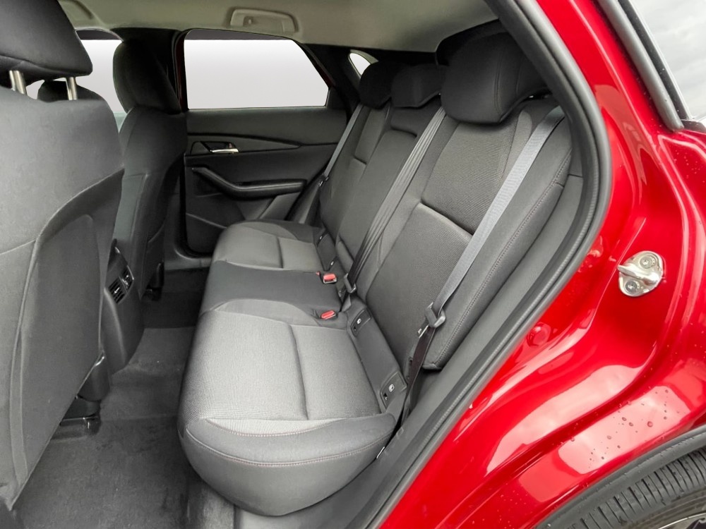 MAZDA CX-30 SKYACTIV-X 186 M Hybrid Homura Plus AWD AT-image-7