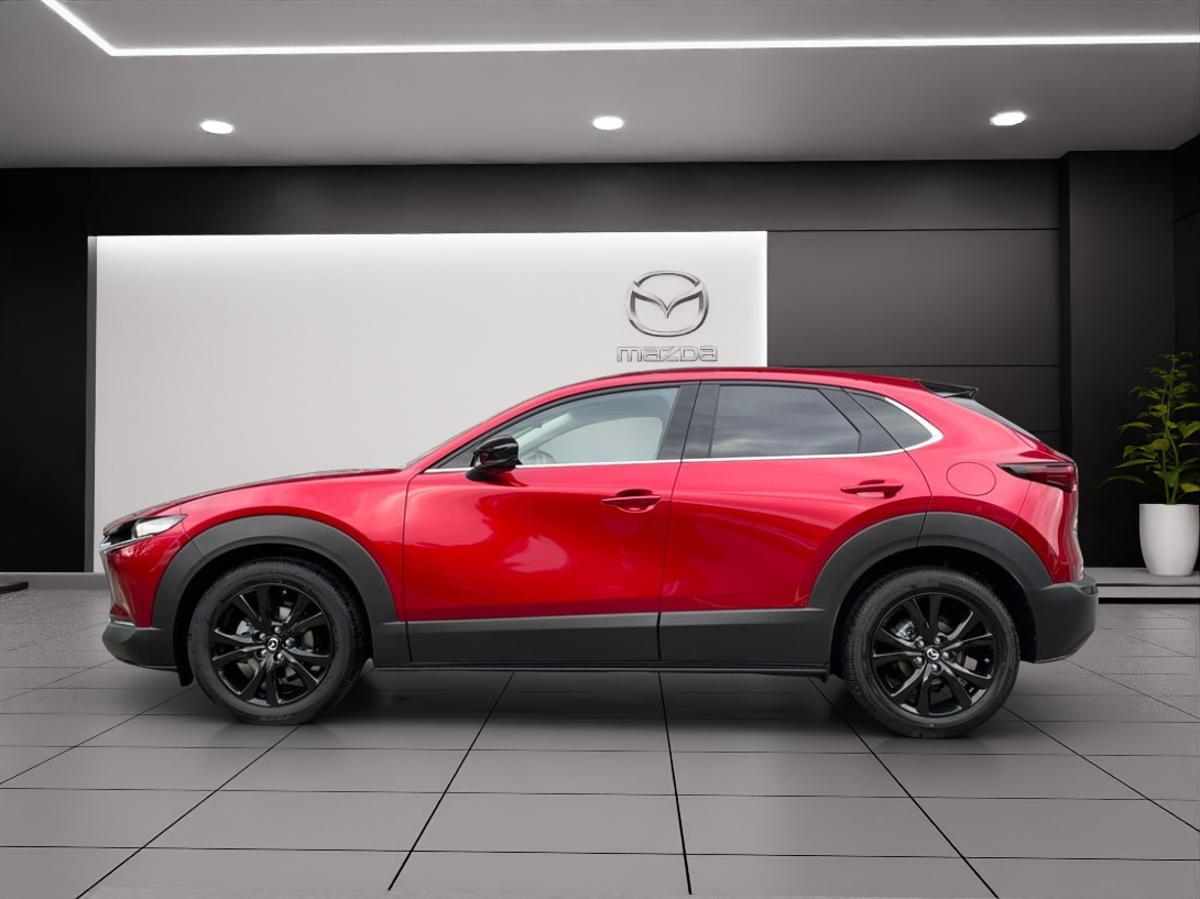 MAZDA CX-30 SKYACTIV-X 186 M Hybrid Homura Plus AWD AT-showroom-element-2