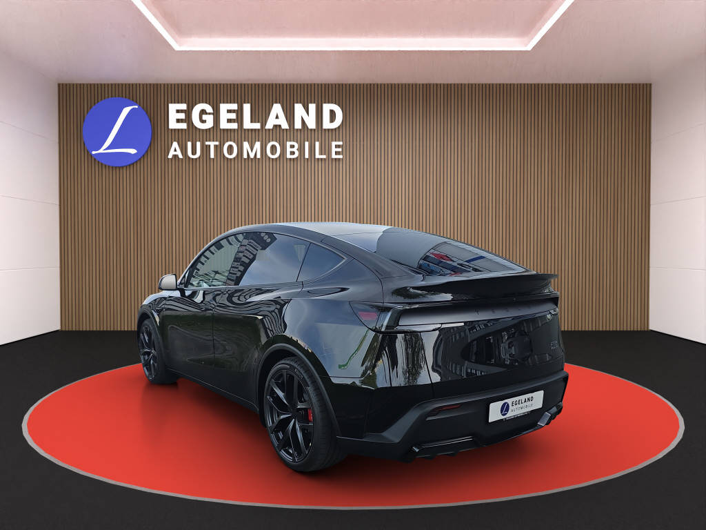 TESLA Model Y Performance AWD-image-4