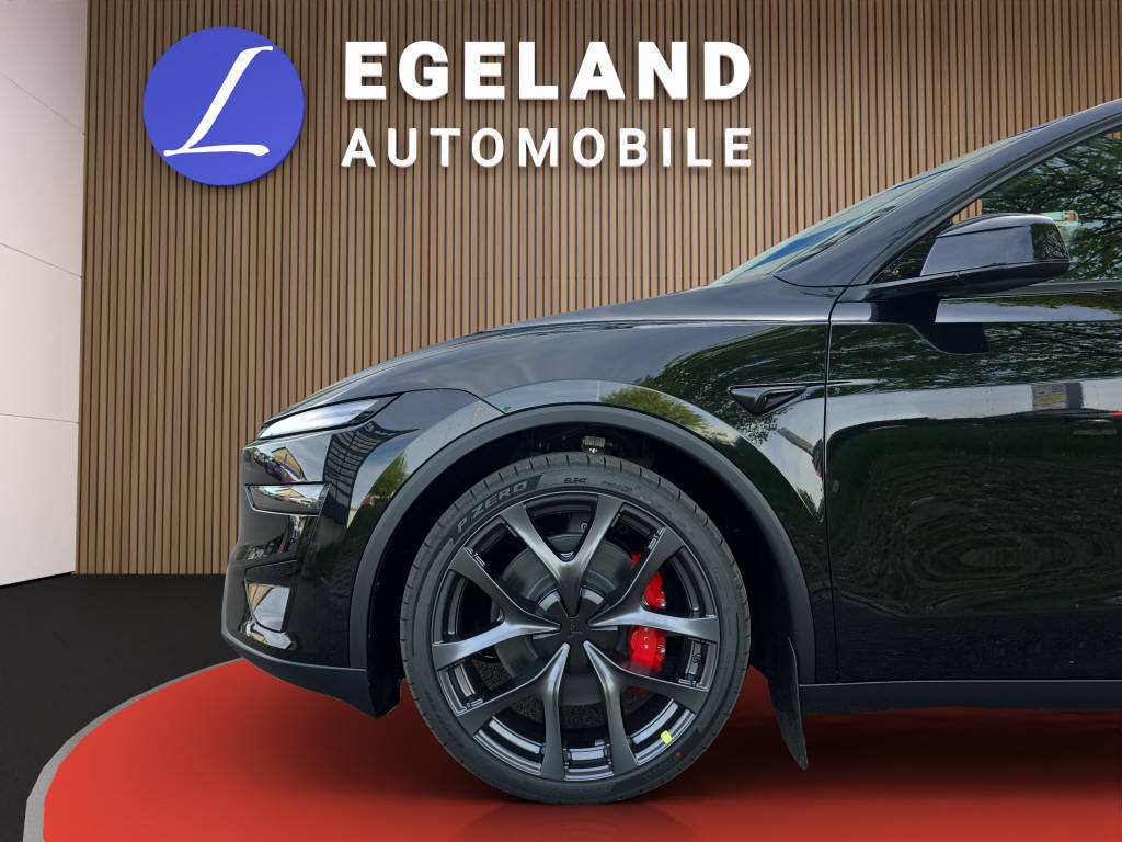 TESLA Model Y Performance AWD-image-9
