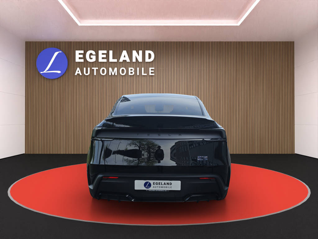 TESLA Model Y Performance AWD-image-5