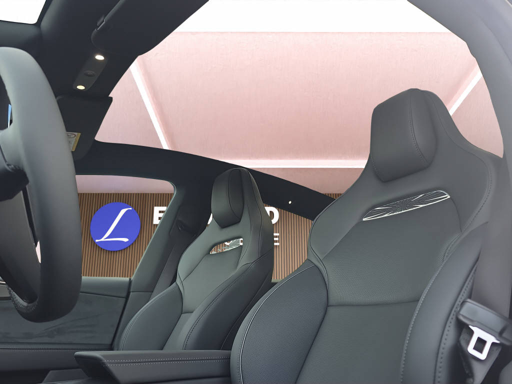 TESLA Model Y Performance AWD-image-12