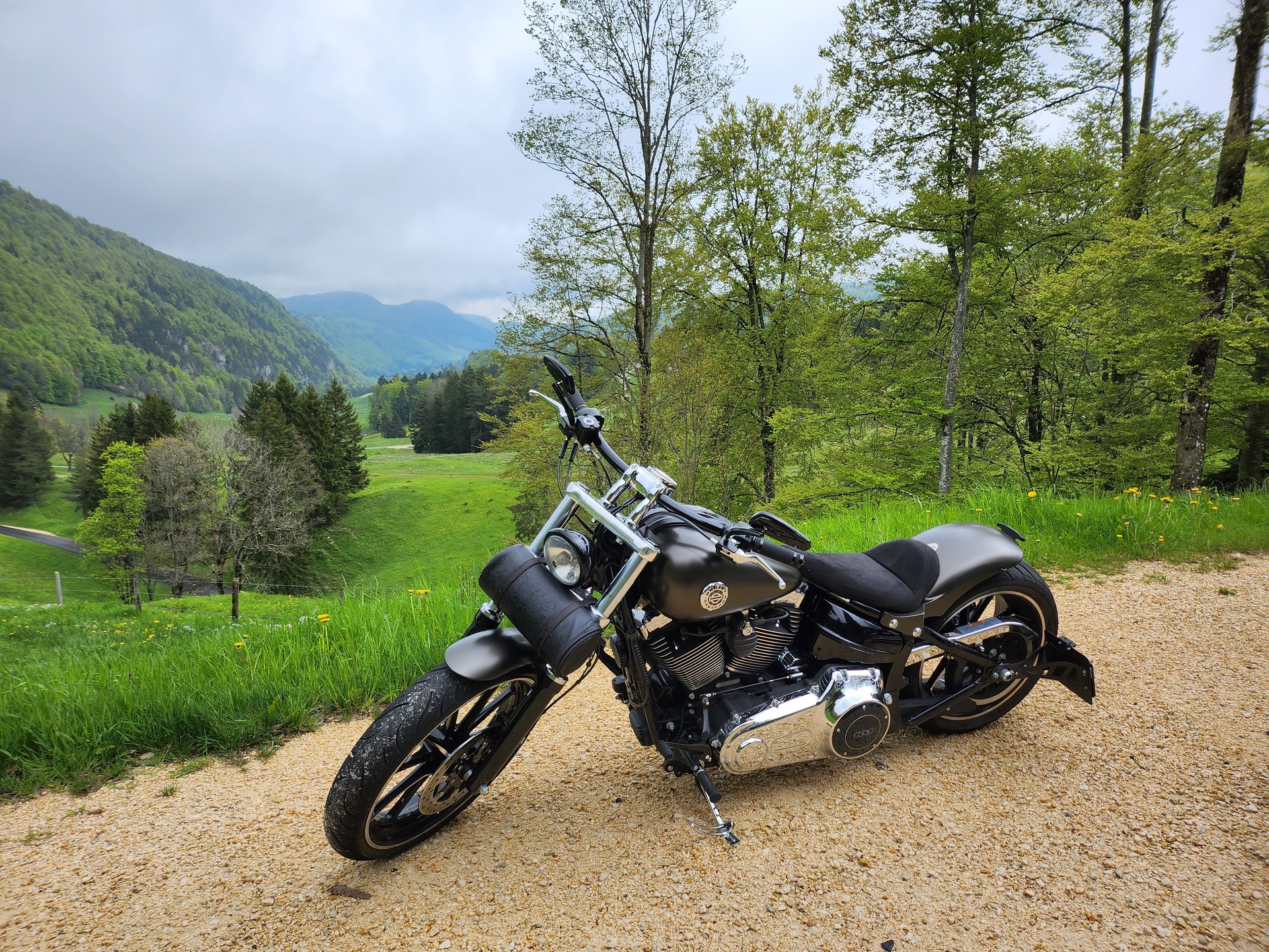 HARLEY-DAVIDSON FXSB Breakout 103 ABS-image-5