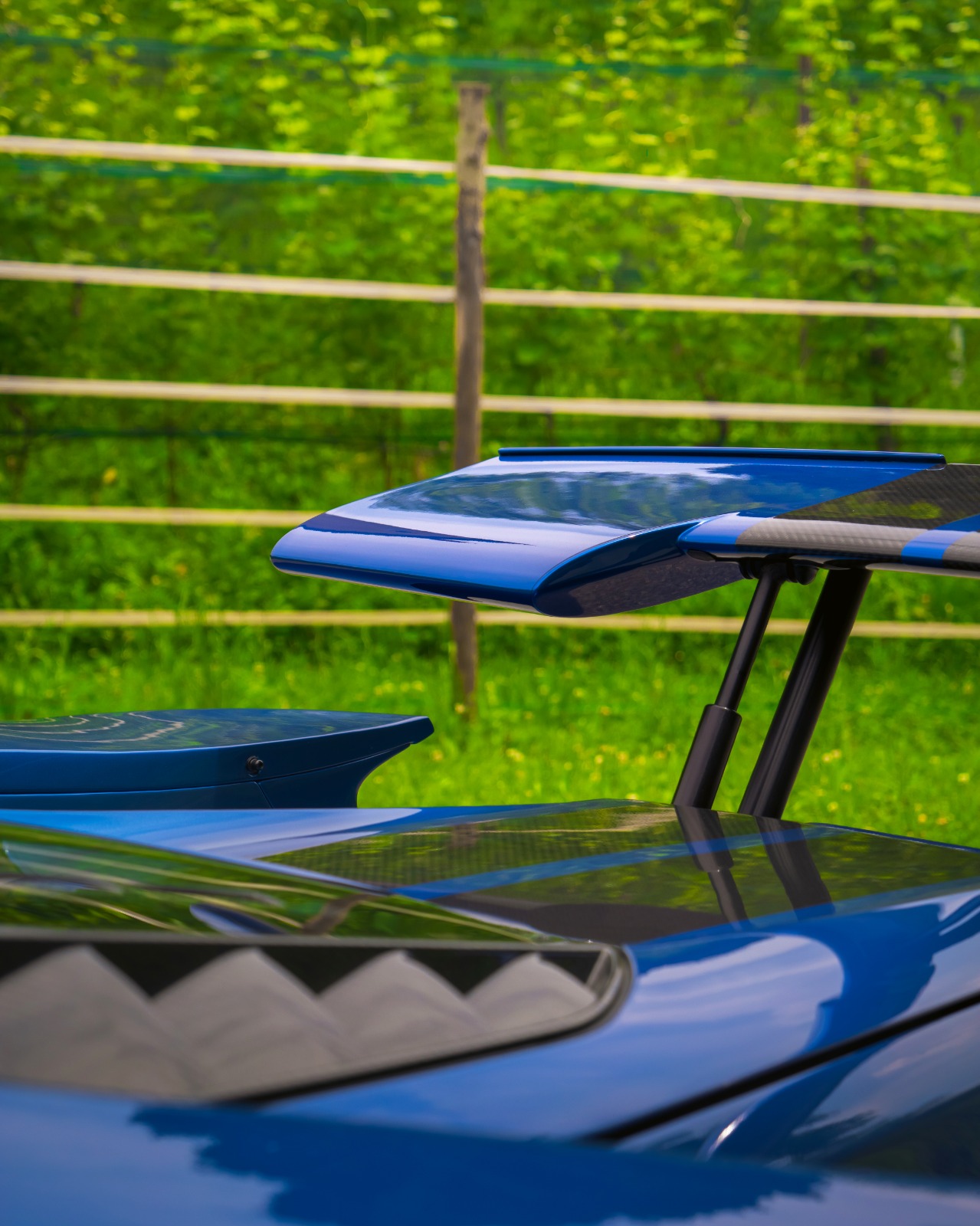FORD GT-image-8