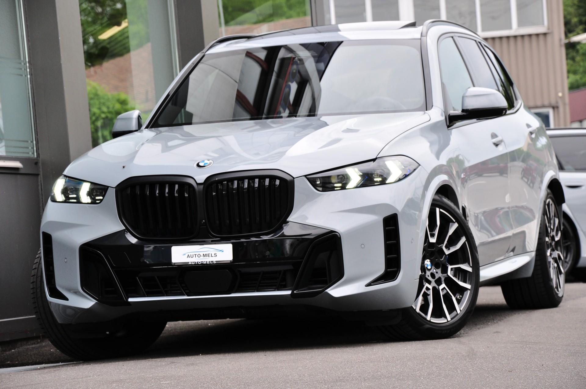BMW X5 xDrive 48V 30d M Sport Pro Steptronic **7-SITZPLÄTZE**