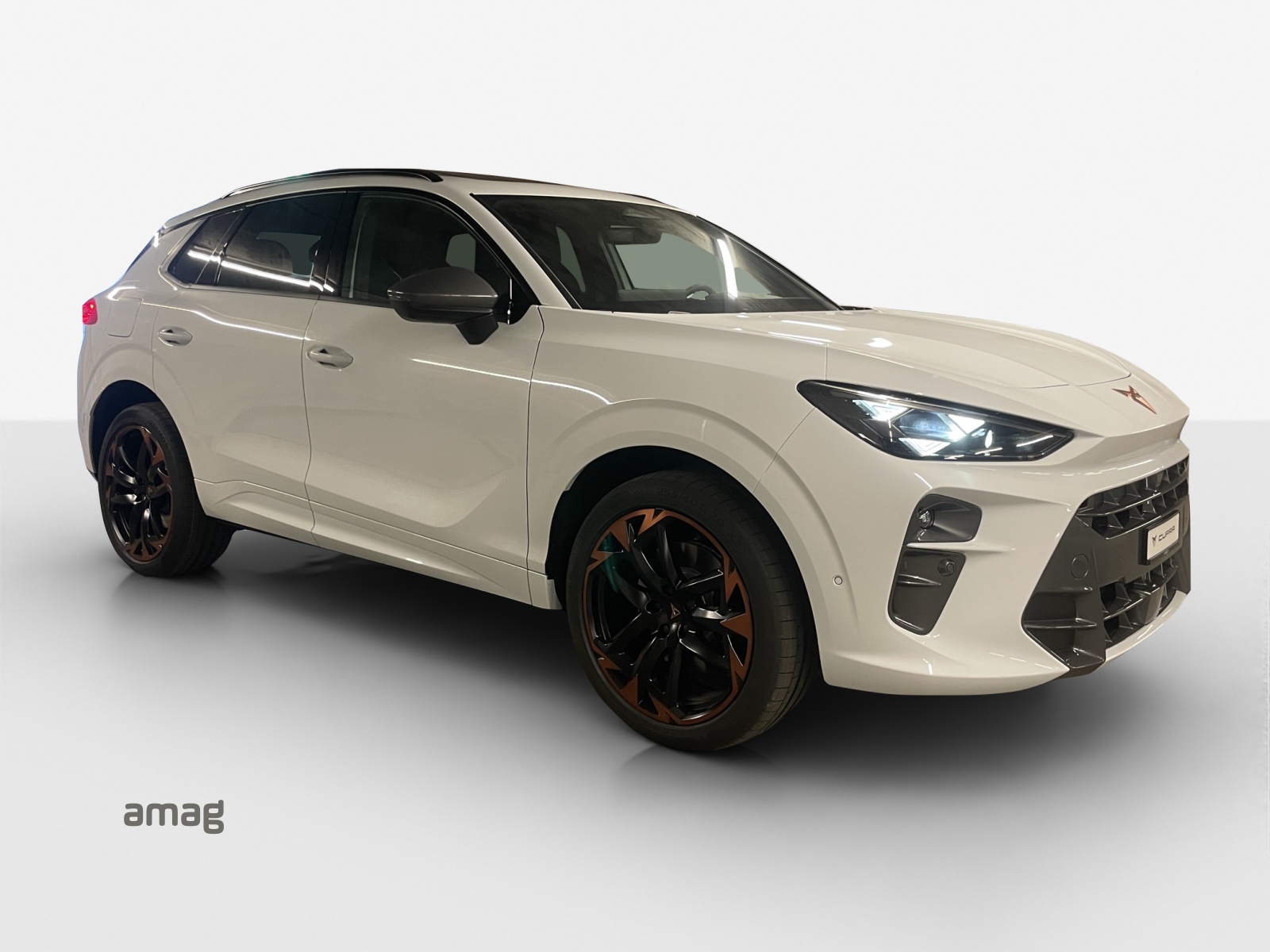 CUPRA Terramar 2.0 TSI DSG Prime Edition VZ 4Drive-image-5