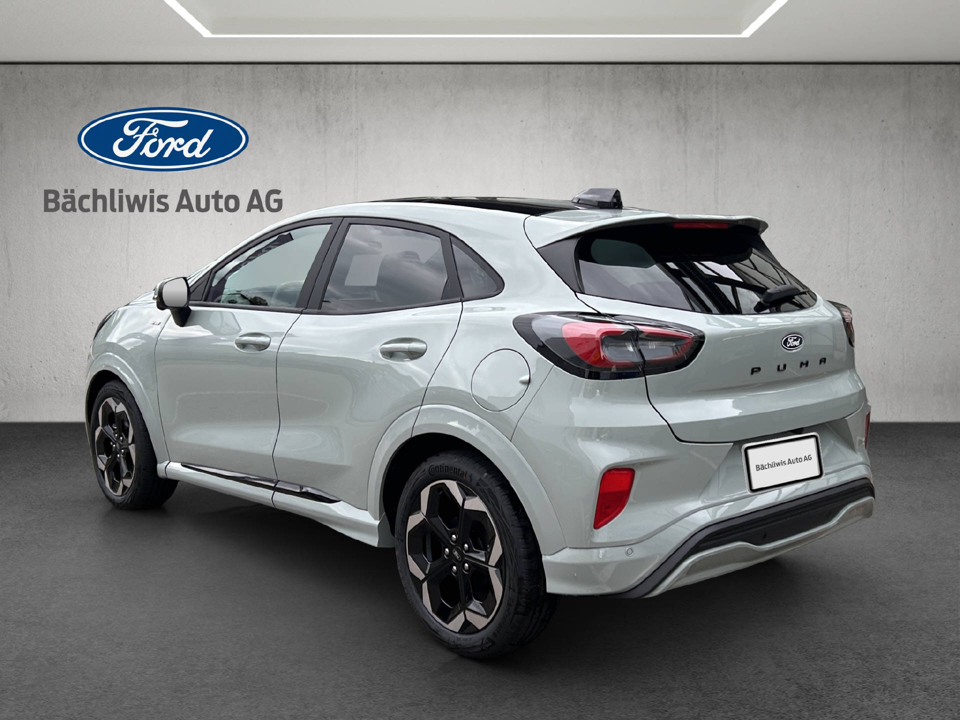 FORD Puma 1.0 EcoB Hybrid 155 ST-Line X-showroom-element-2