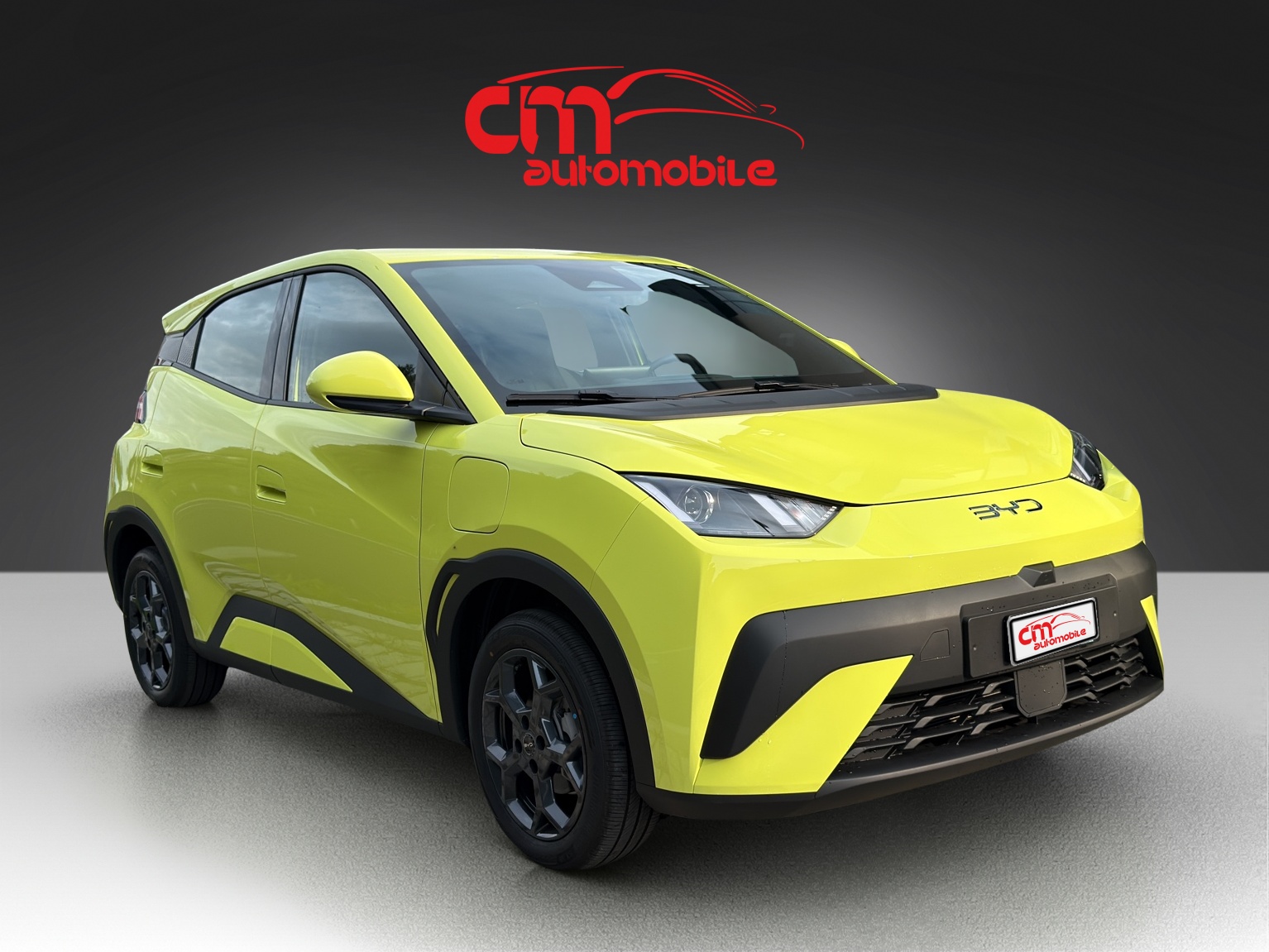 BYD Dolphin Surf 30 kWh Active-showroom-element-3
