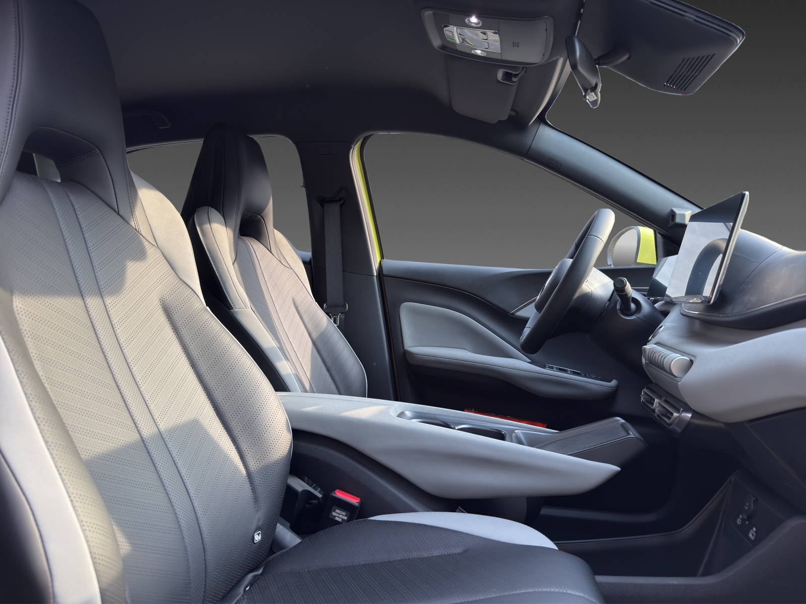 BYD Dolphin Surf 30 kWh Active-image-14