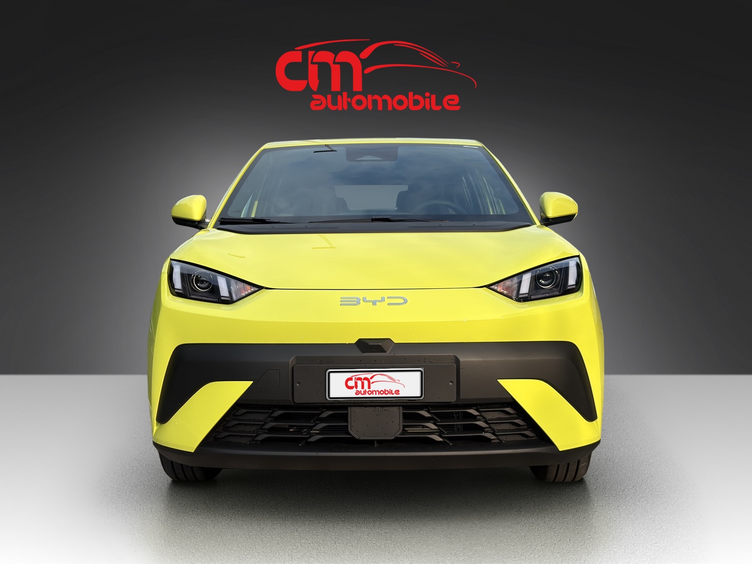 BYD Dolphin Surf 30 kWh Active-image-8