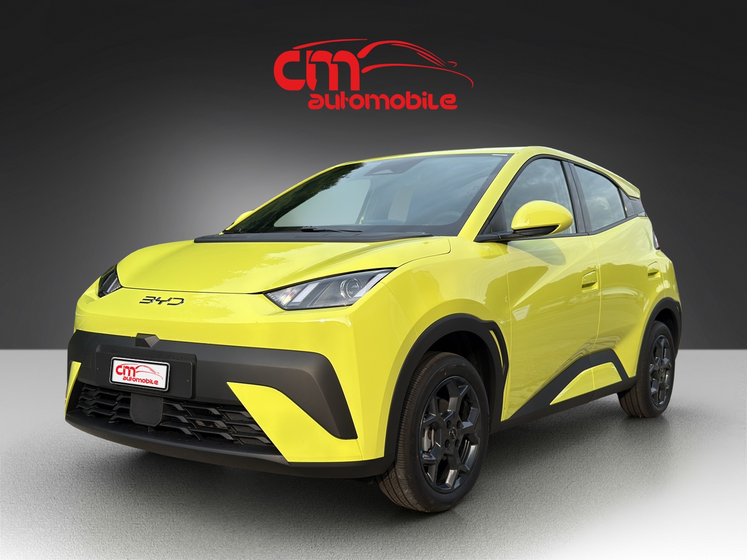 BYD Dolphin Surf 30 kWh Active