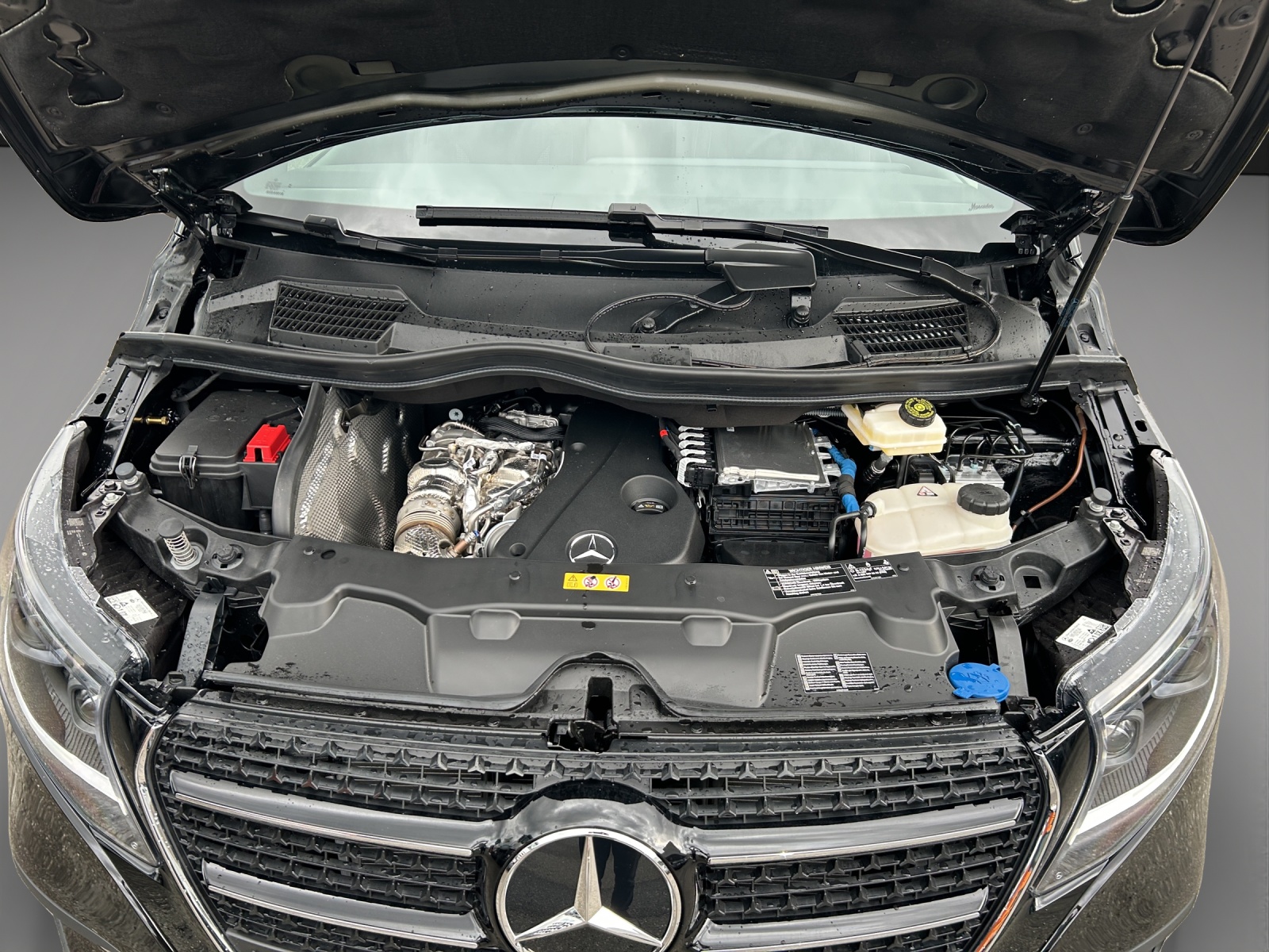 MERCEDES-BENZ V 300 d lang 4Matic 9G-Tronic-image-11