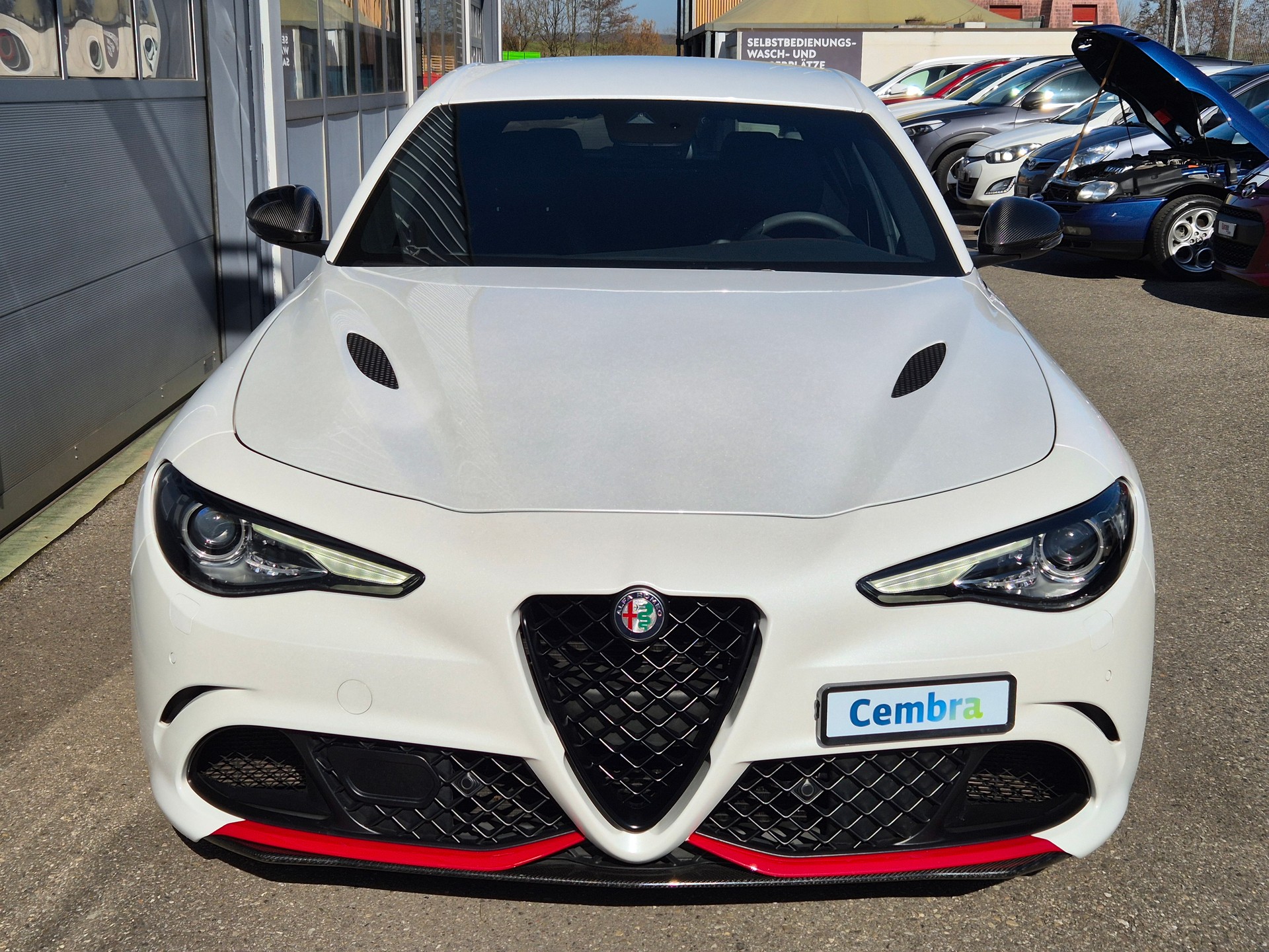 ALFA ROMEO Giulia 2.9 V6 Quadrifoglio-image-6