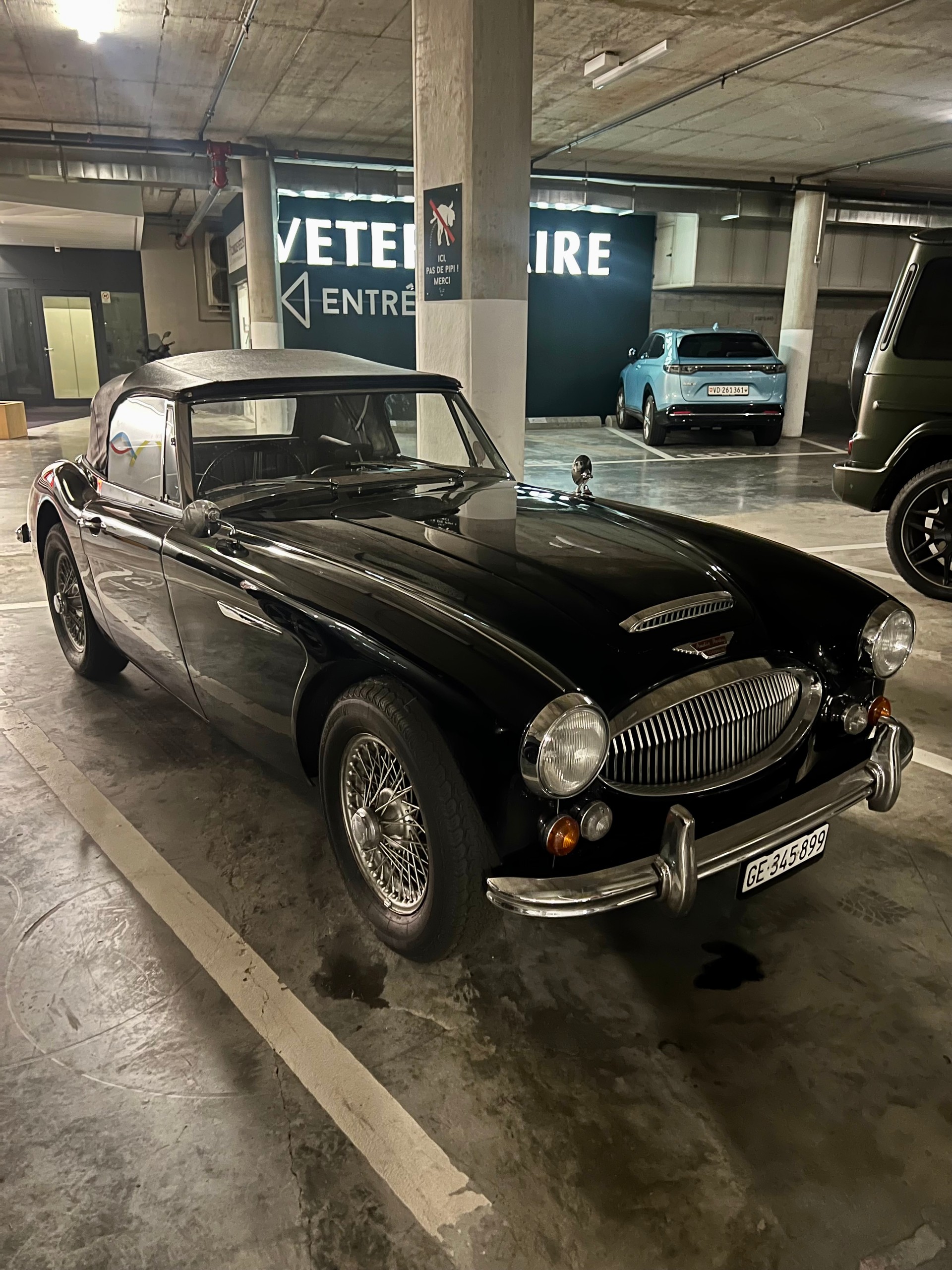AUSTIN-HEALEY 3000-image-1