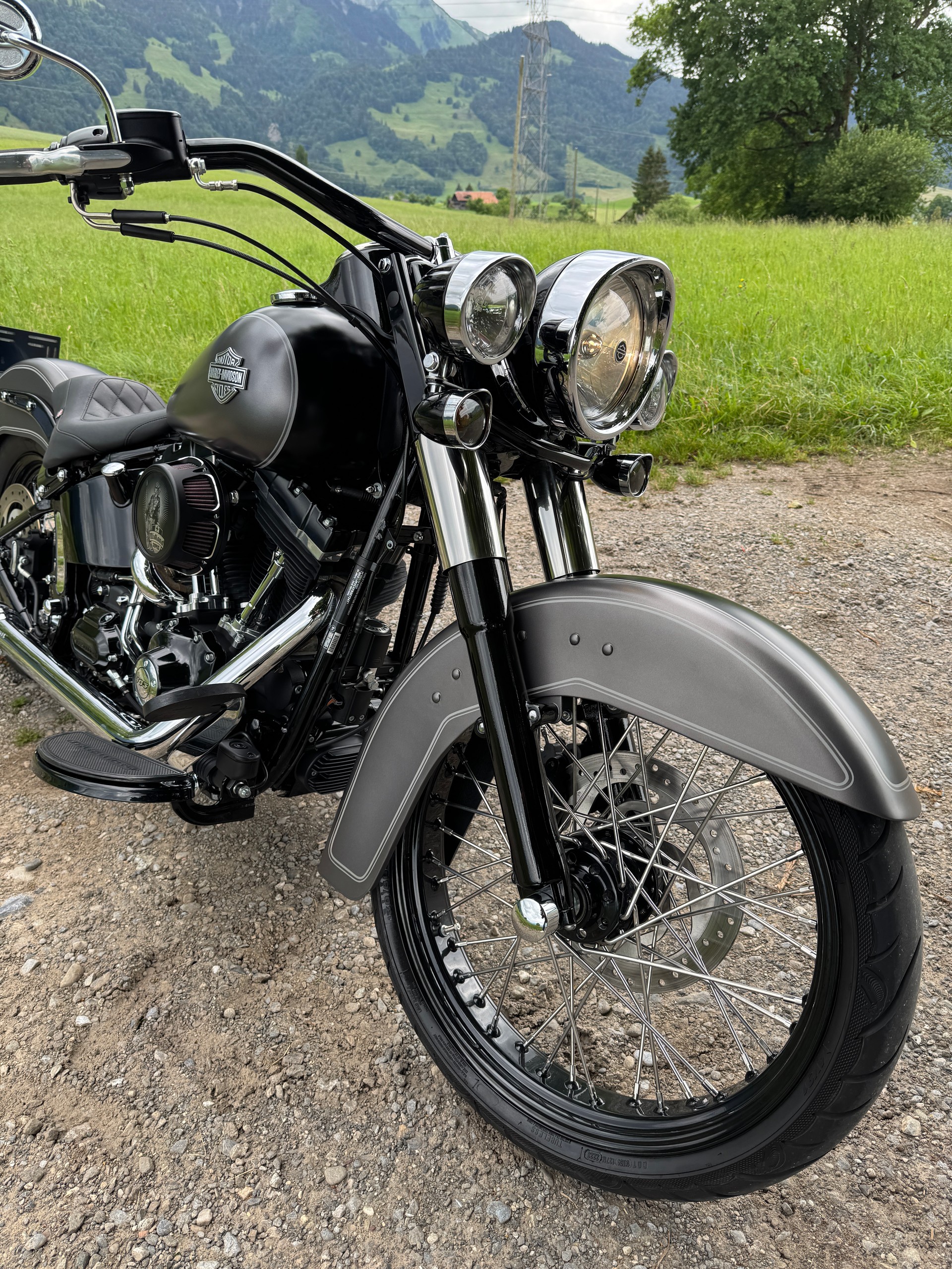 HARLEY-DAVIDSON FLS Softail Slim ABS-image-8
