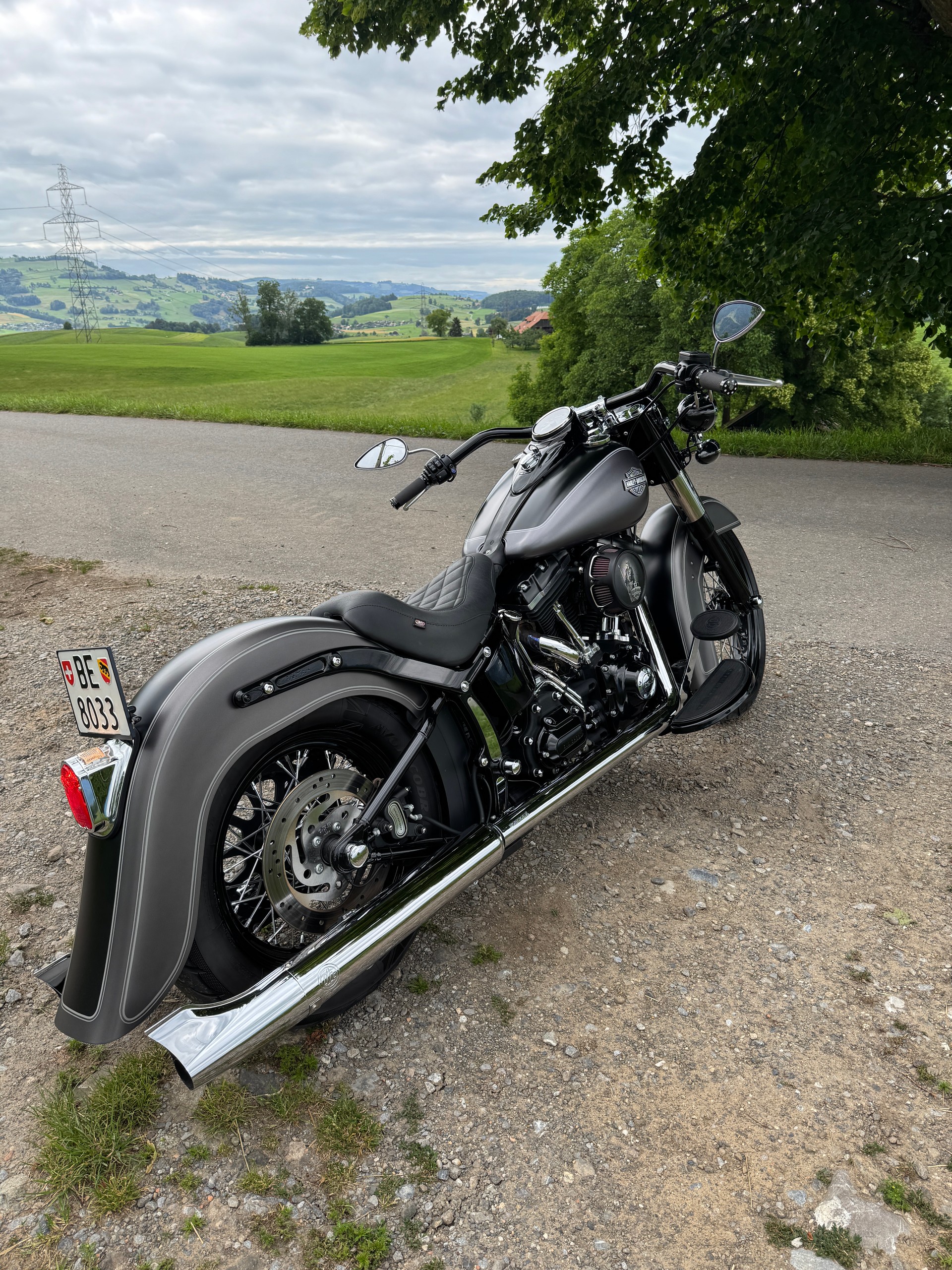HARLEY-DAVIDSON FLS Softail Slim ABS-image-2