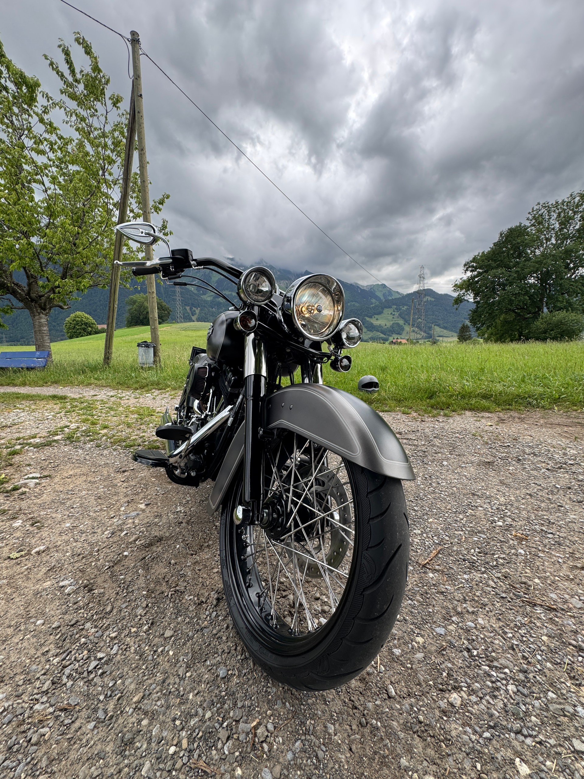 HARLEY-DAVIDSON FLS Softail Slim ABS-image-0
